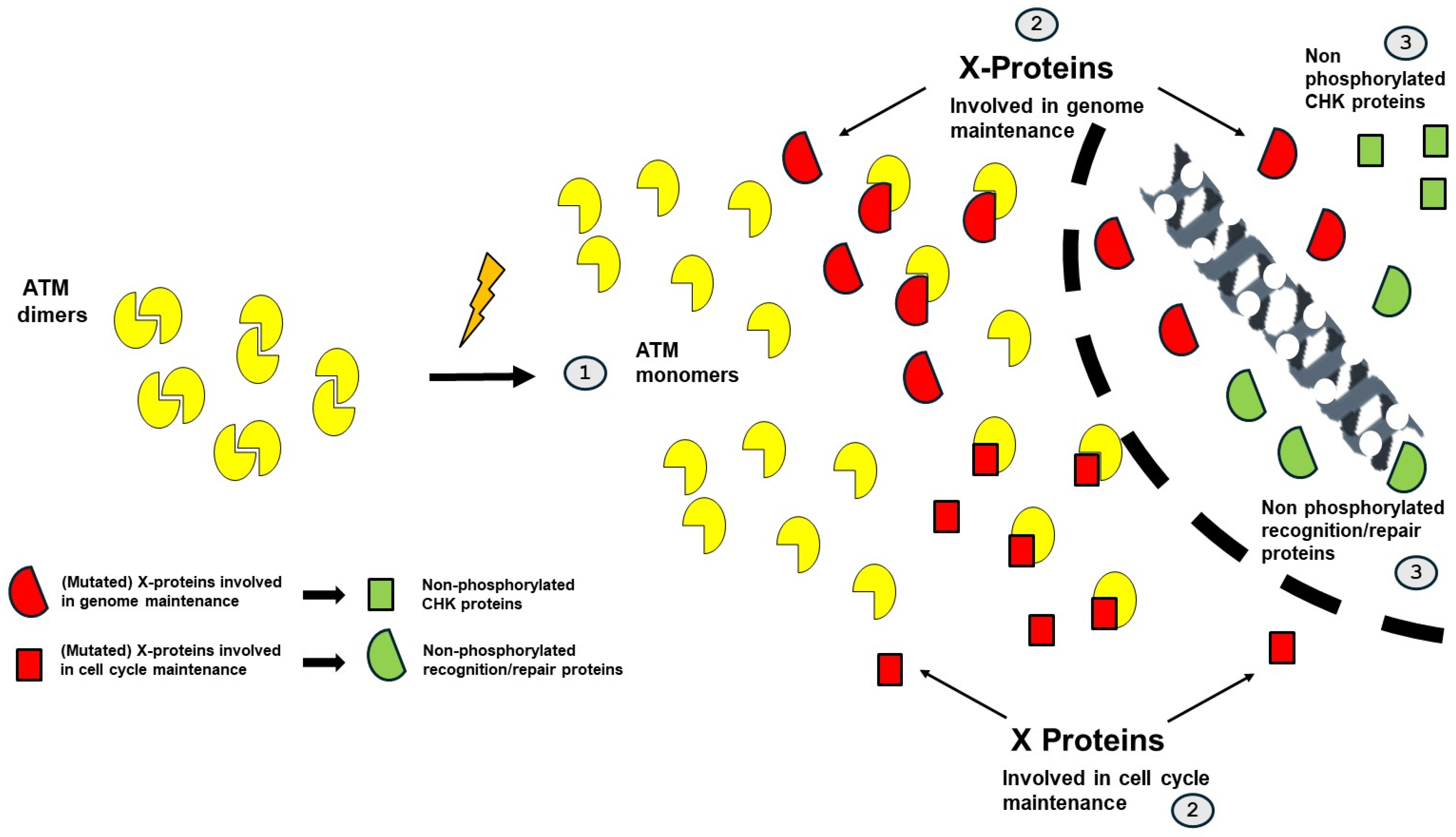 Cancers 16 02104 g007