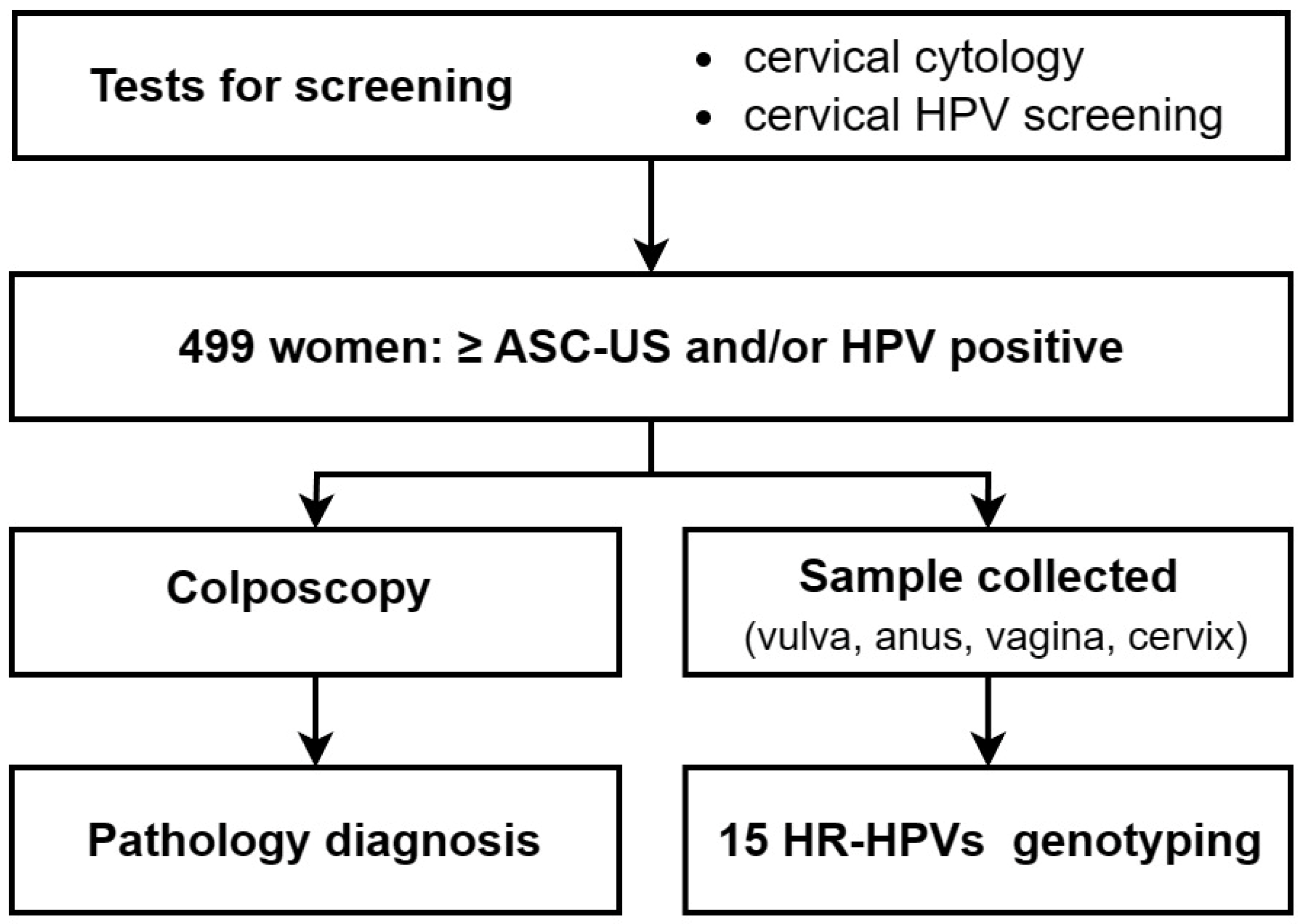 Cancers 16 02107 g001