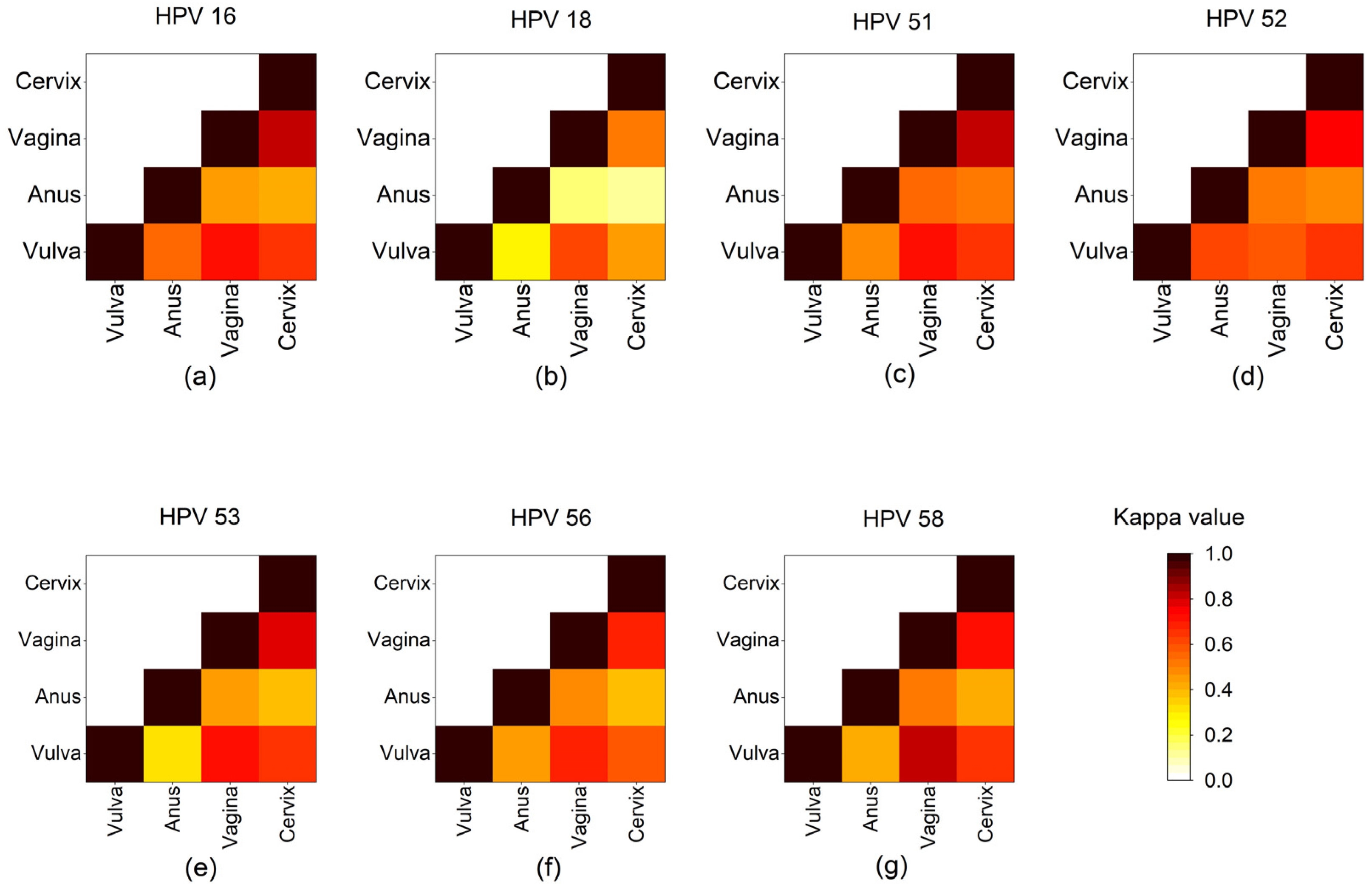 Cancers 16 02107 g002