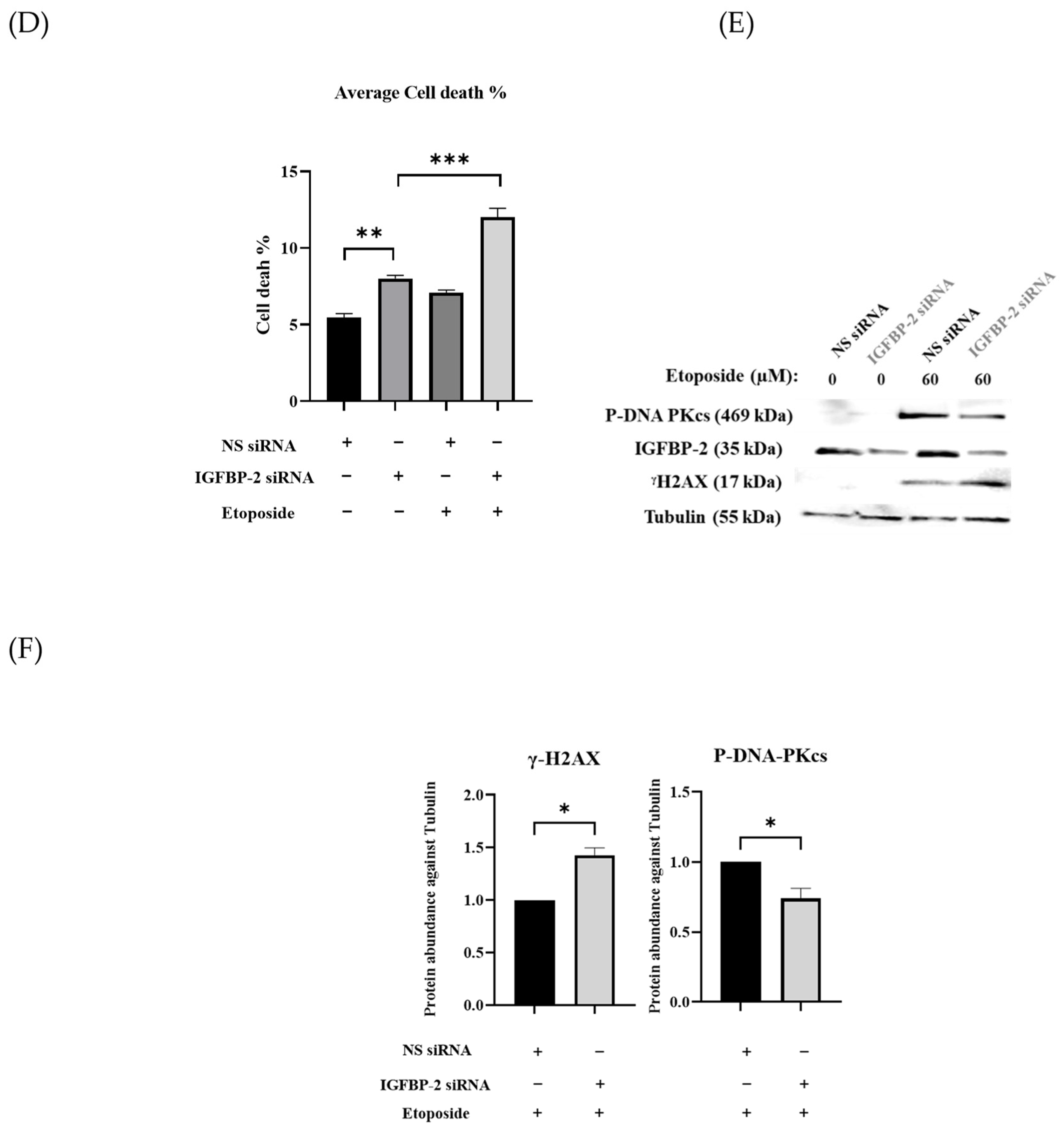 Cancers 16 02113 g001b