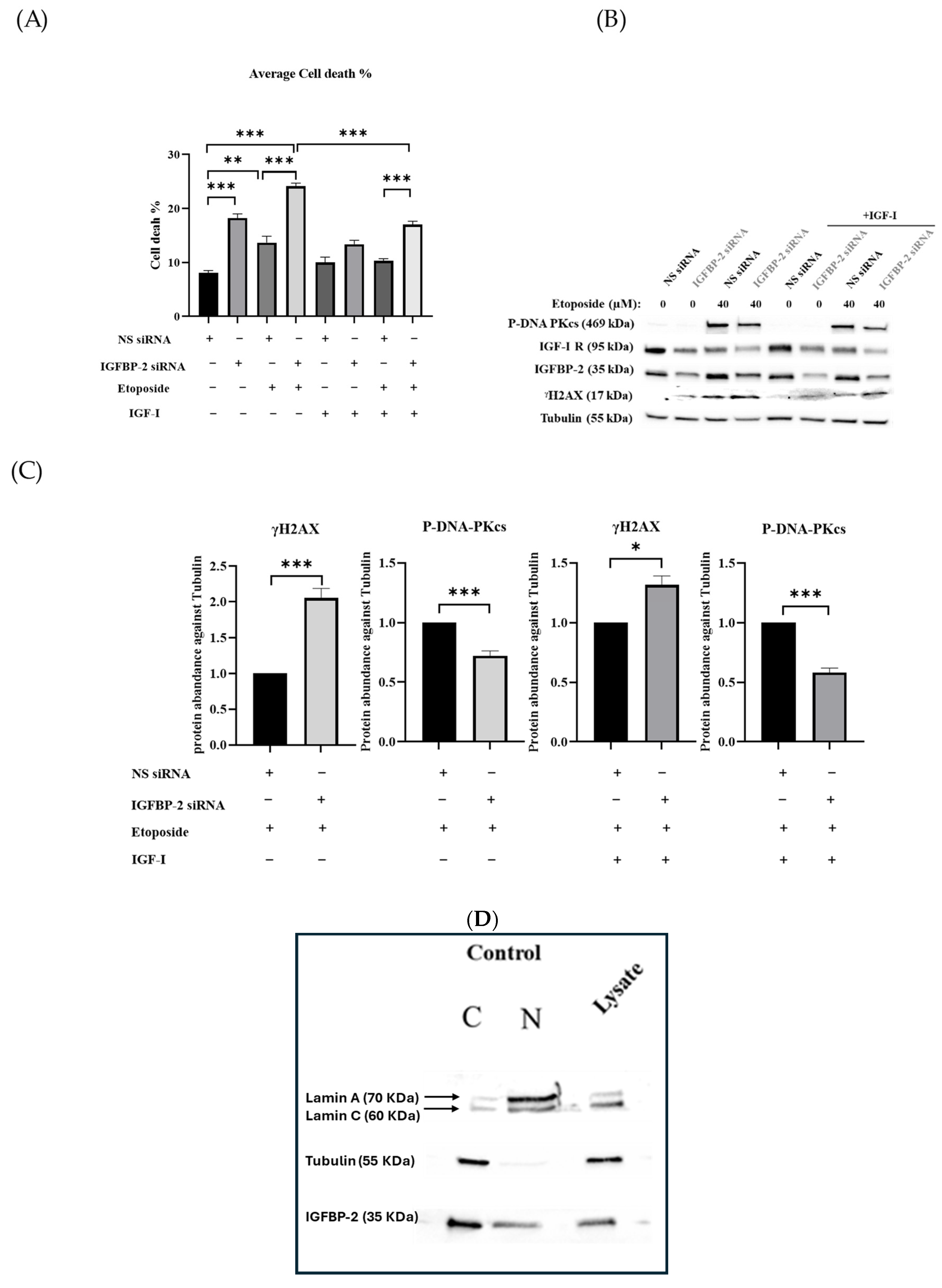 Cancers 16 02113 g003a