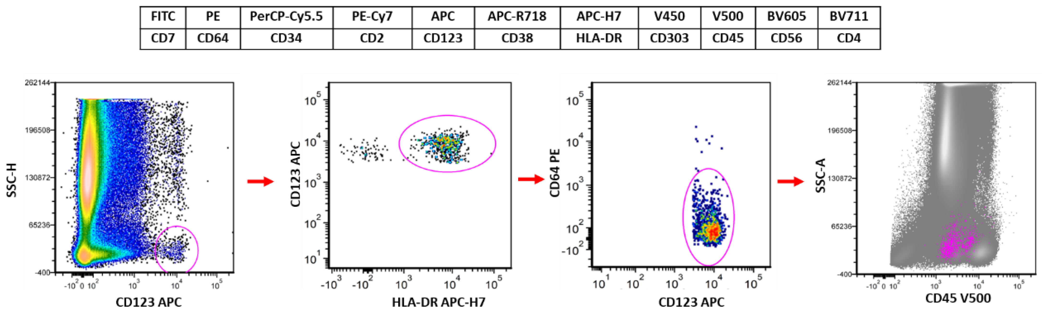Cancers 16 02118 g001