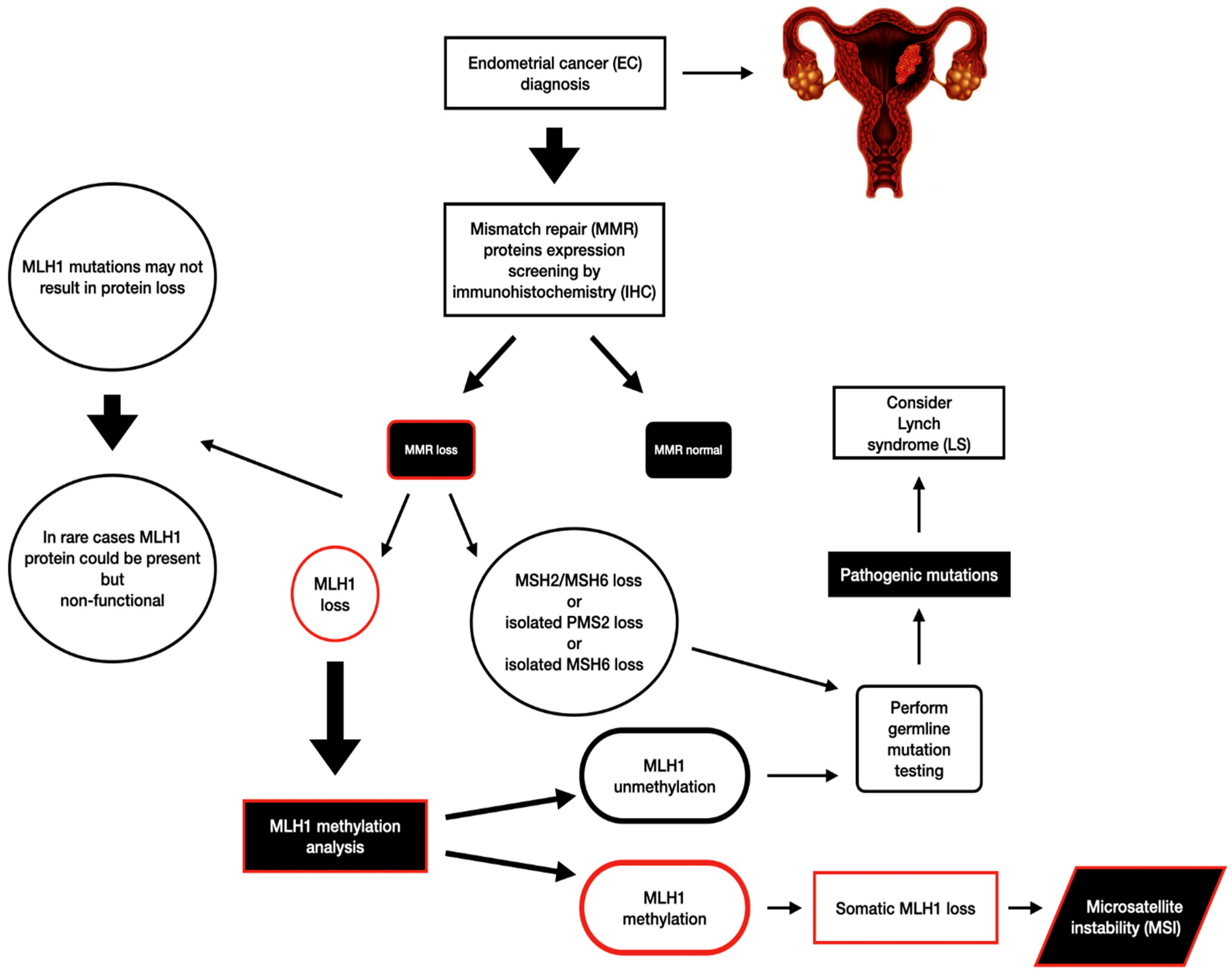 Cancers 16 02119 g001