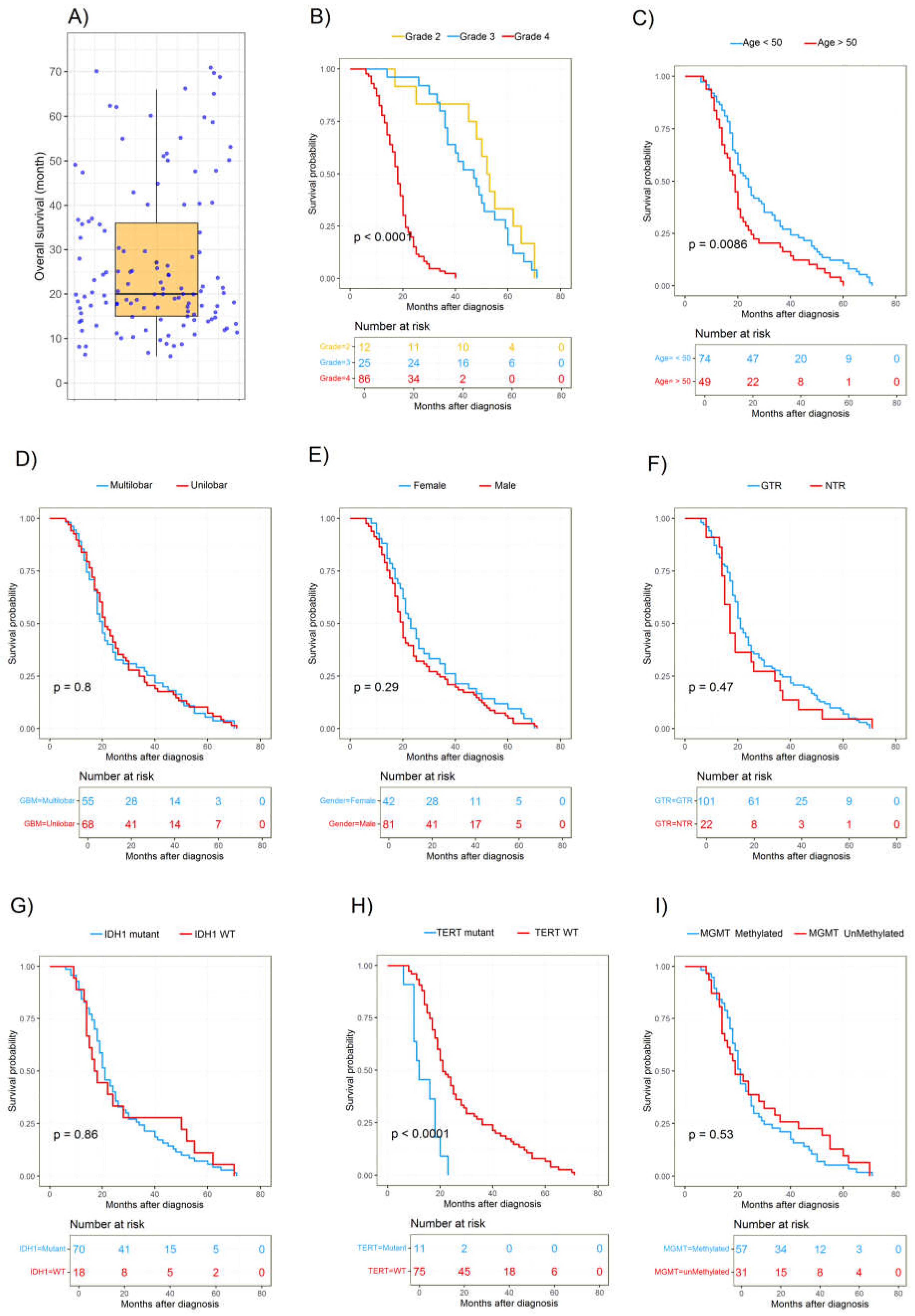 Cancers 16 02121 g007