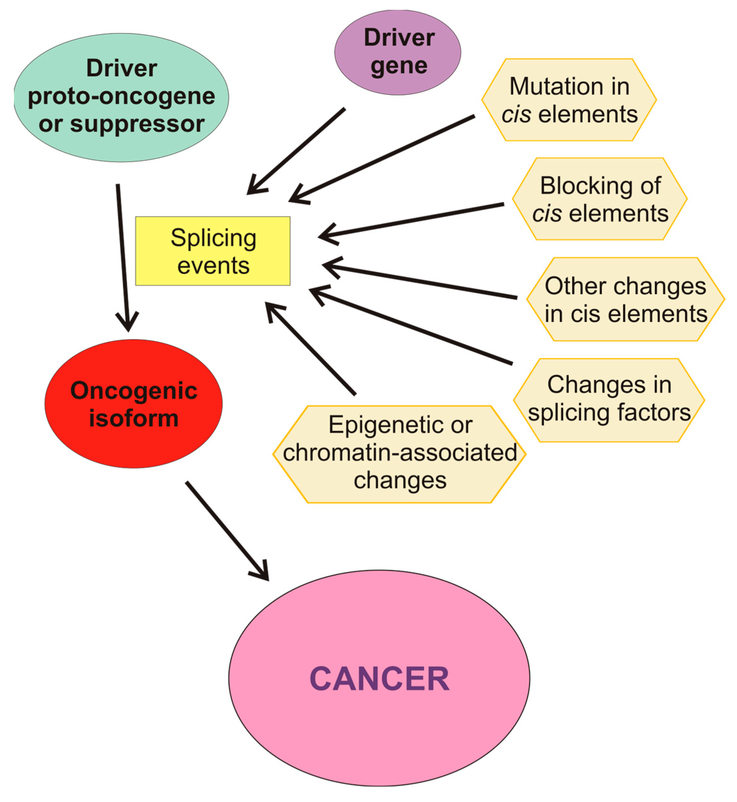 Cancers 16 02123 g003