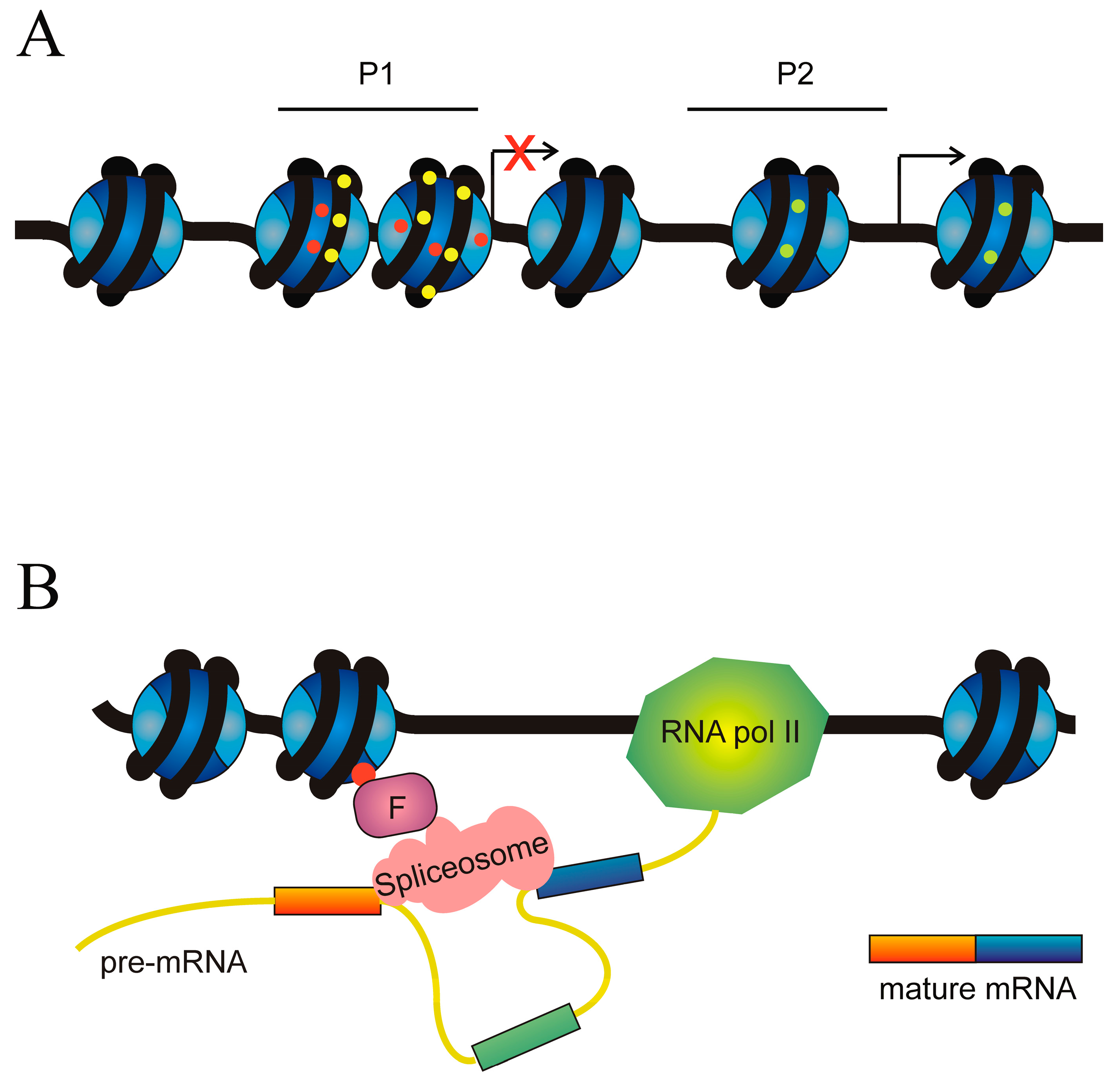 Cancers 16 02123 g007