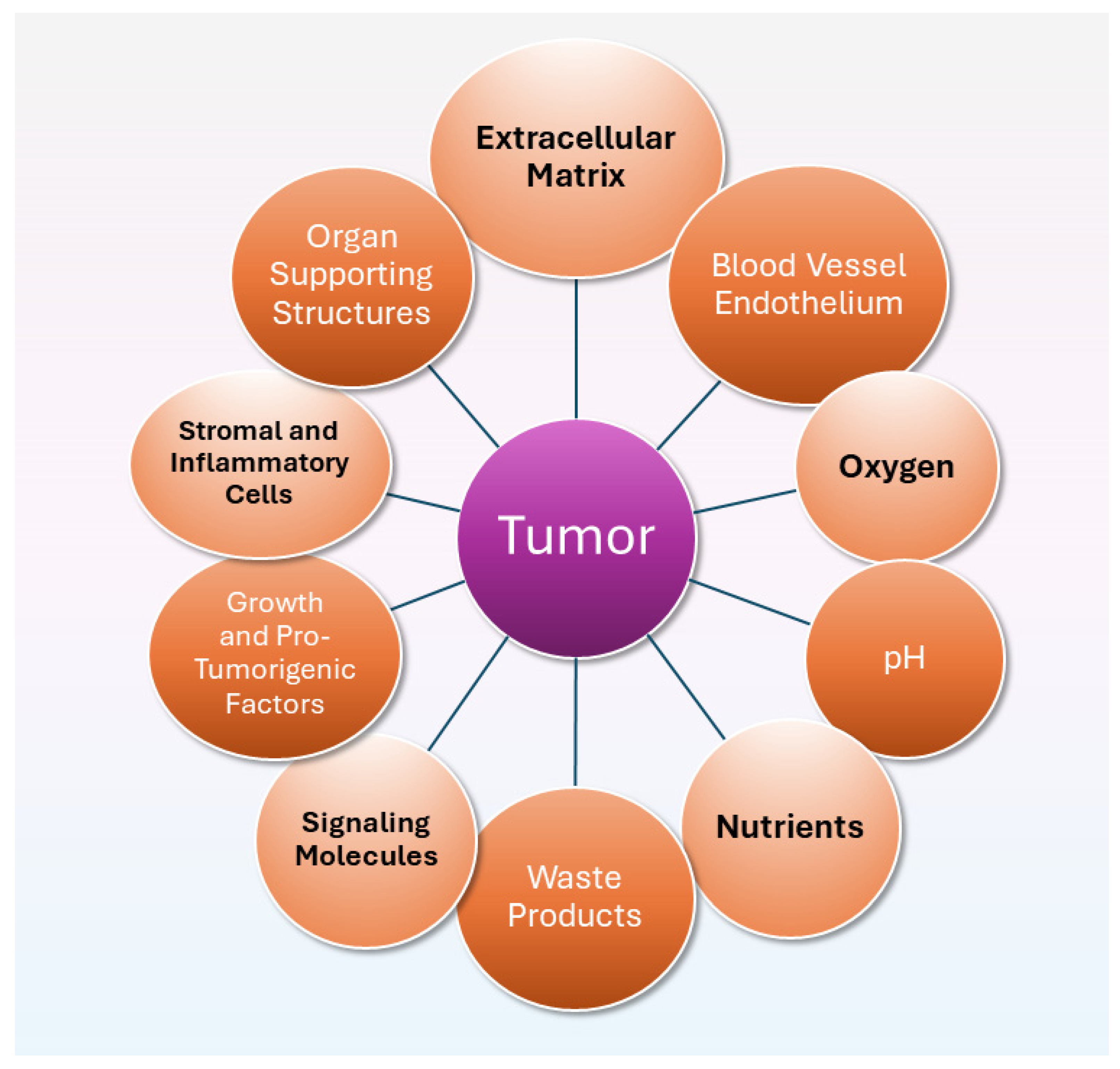 Cancers 16 02126 g001