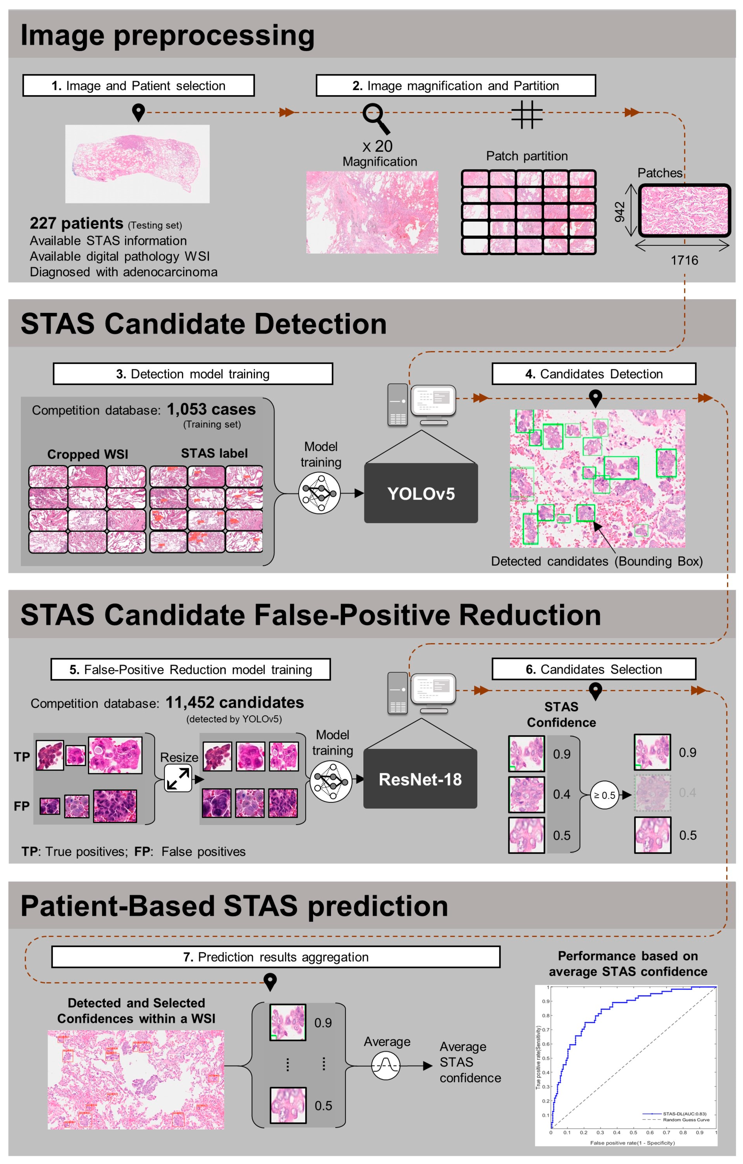 Cancers 16 02132 g001