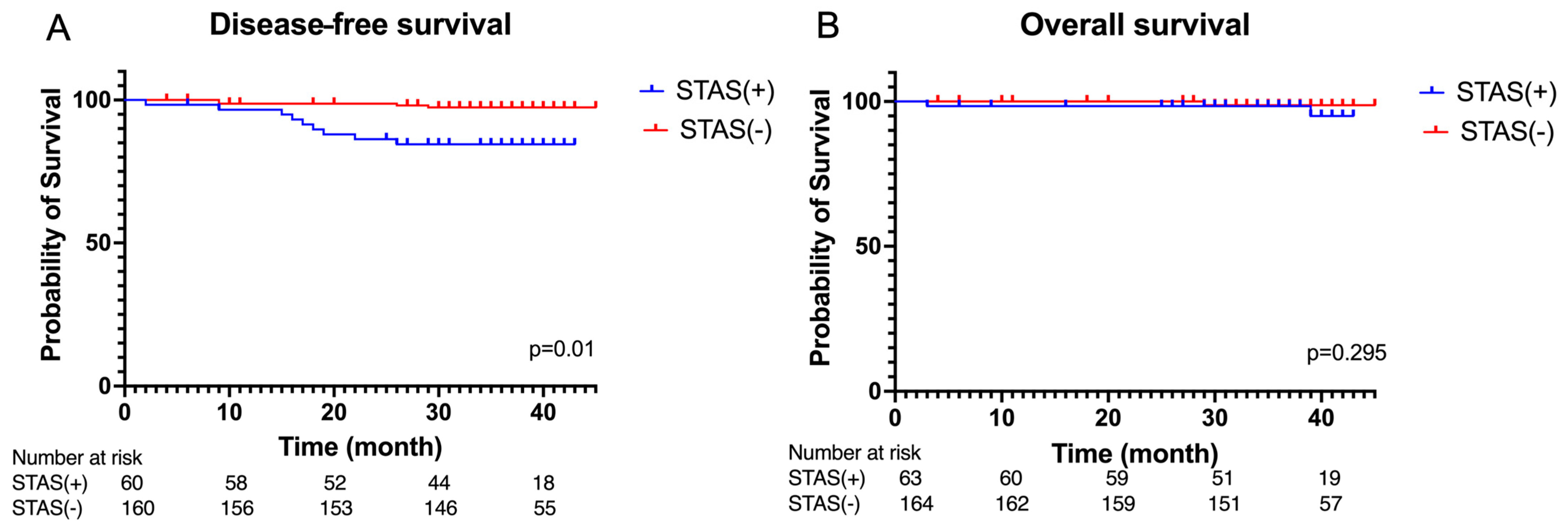 Cancers 16 02132 g002