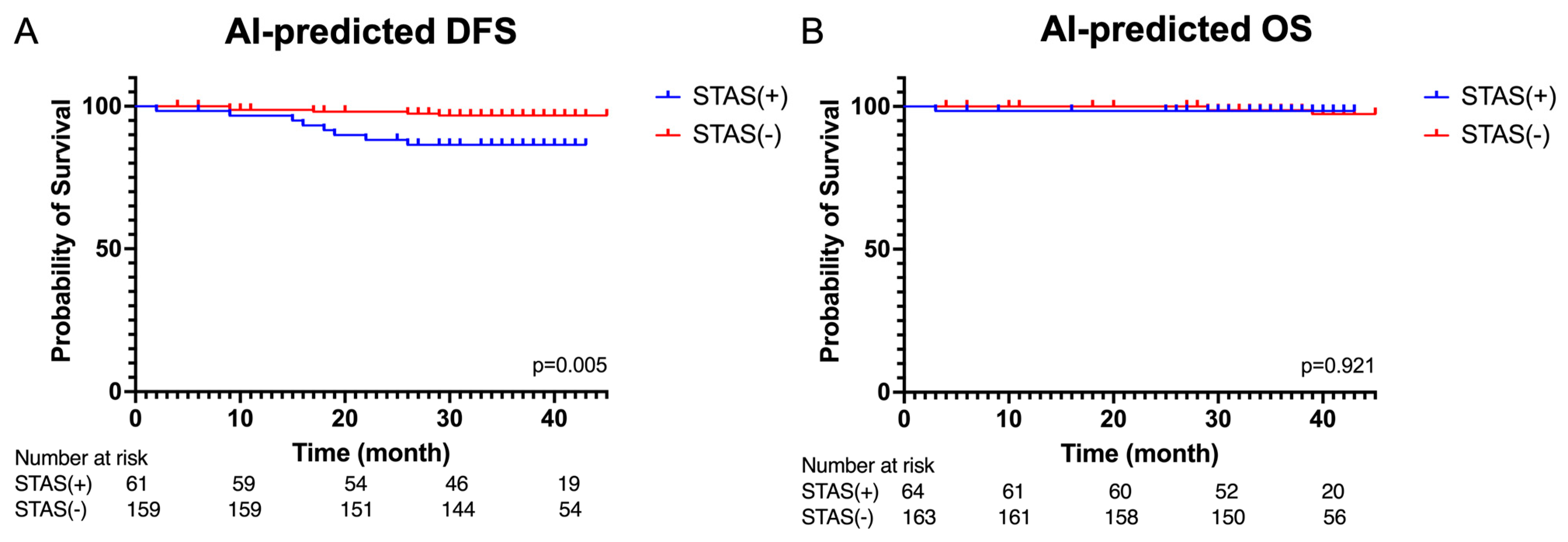 Cancers 16 02132 g005