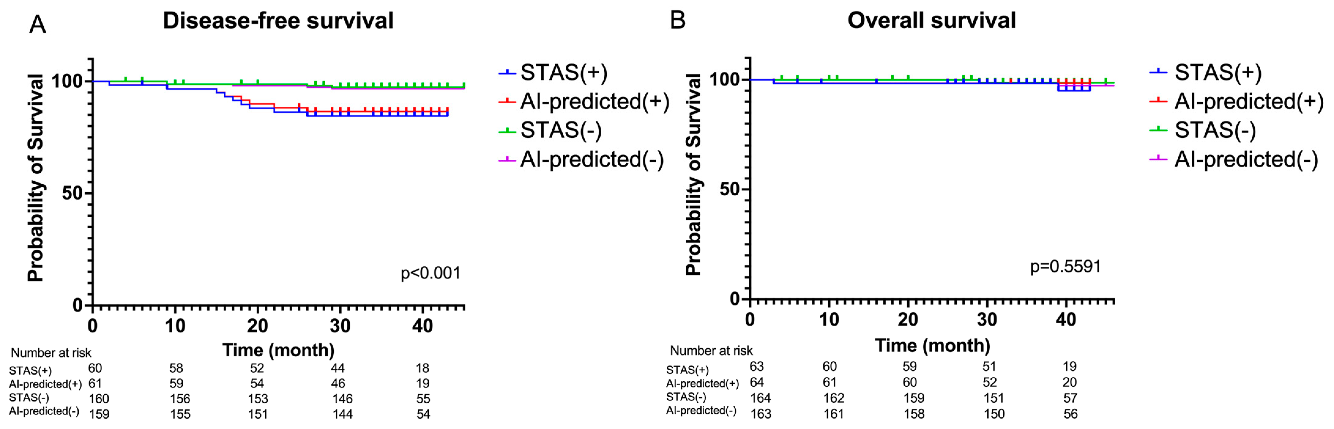 Cancers 16 02132 g007