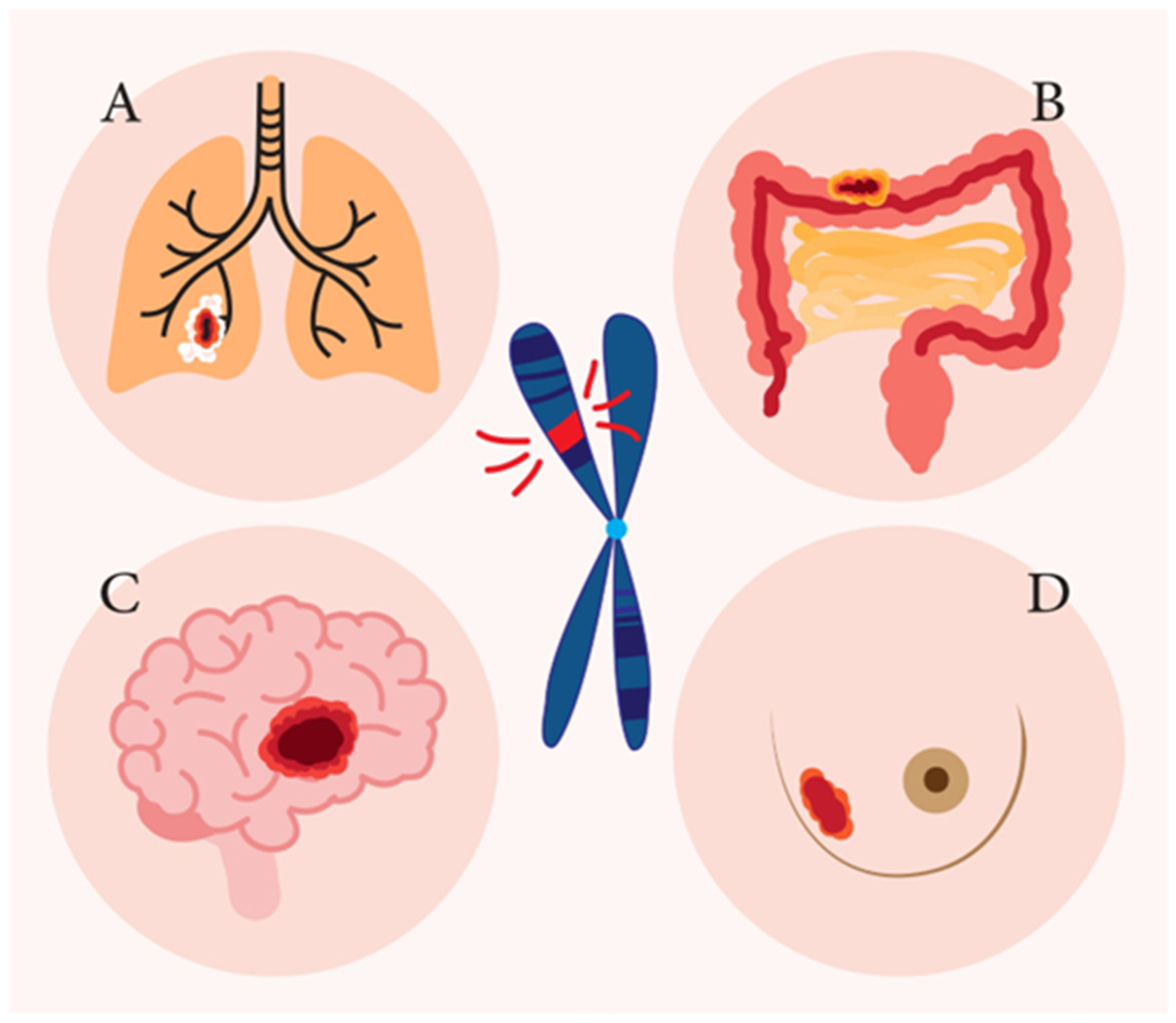 Cancers 16 02138 g001 Cancers 16 02138 g001
