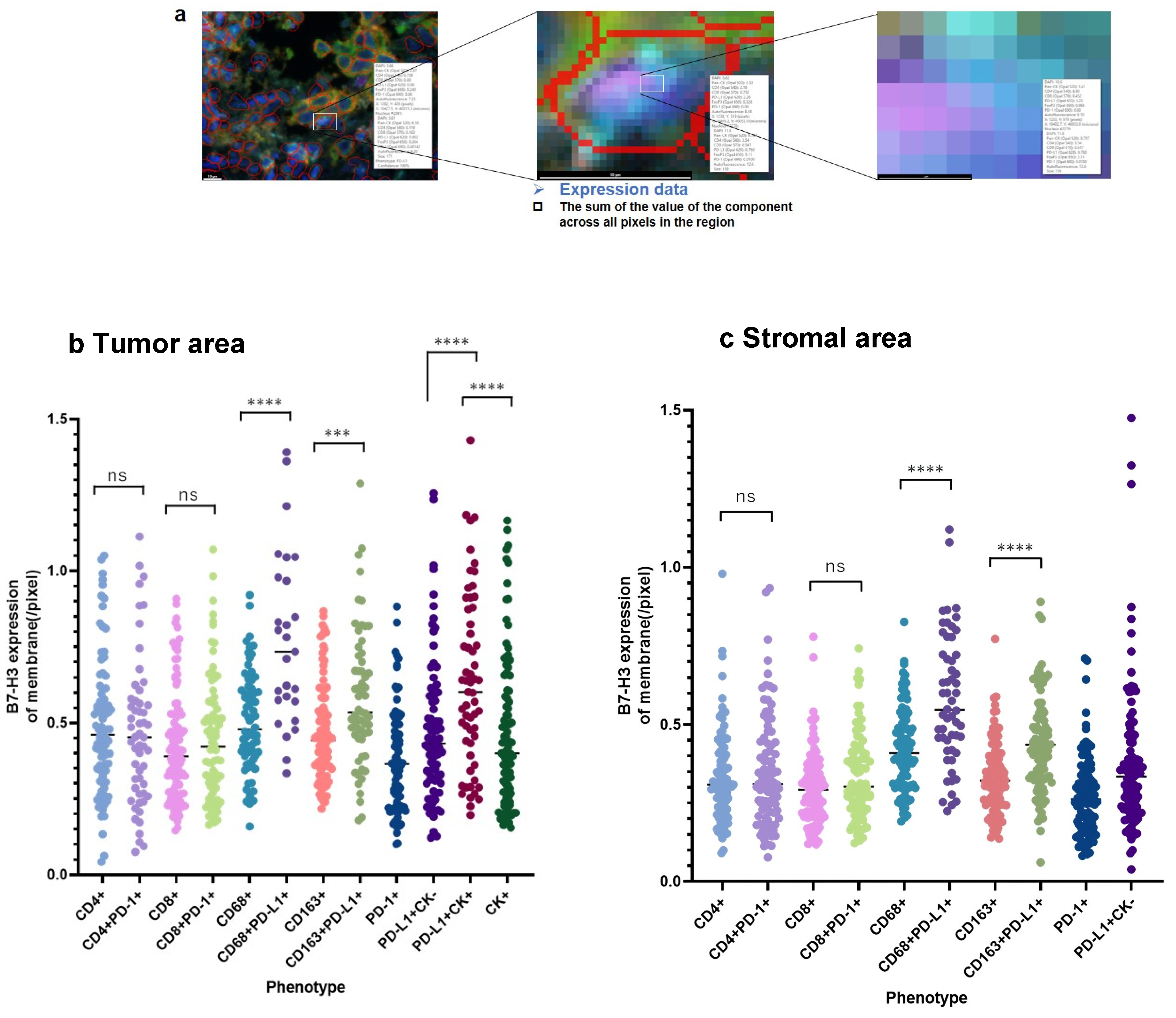 Cancers 16 02140 g005