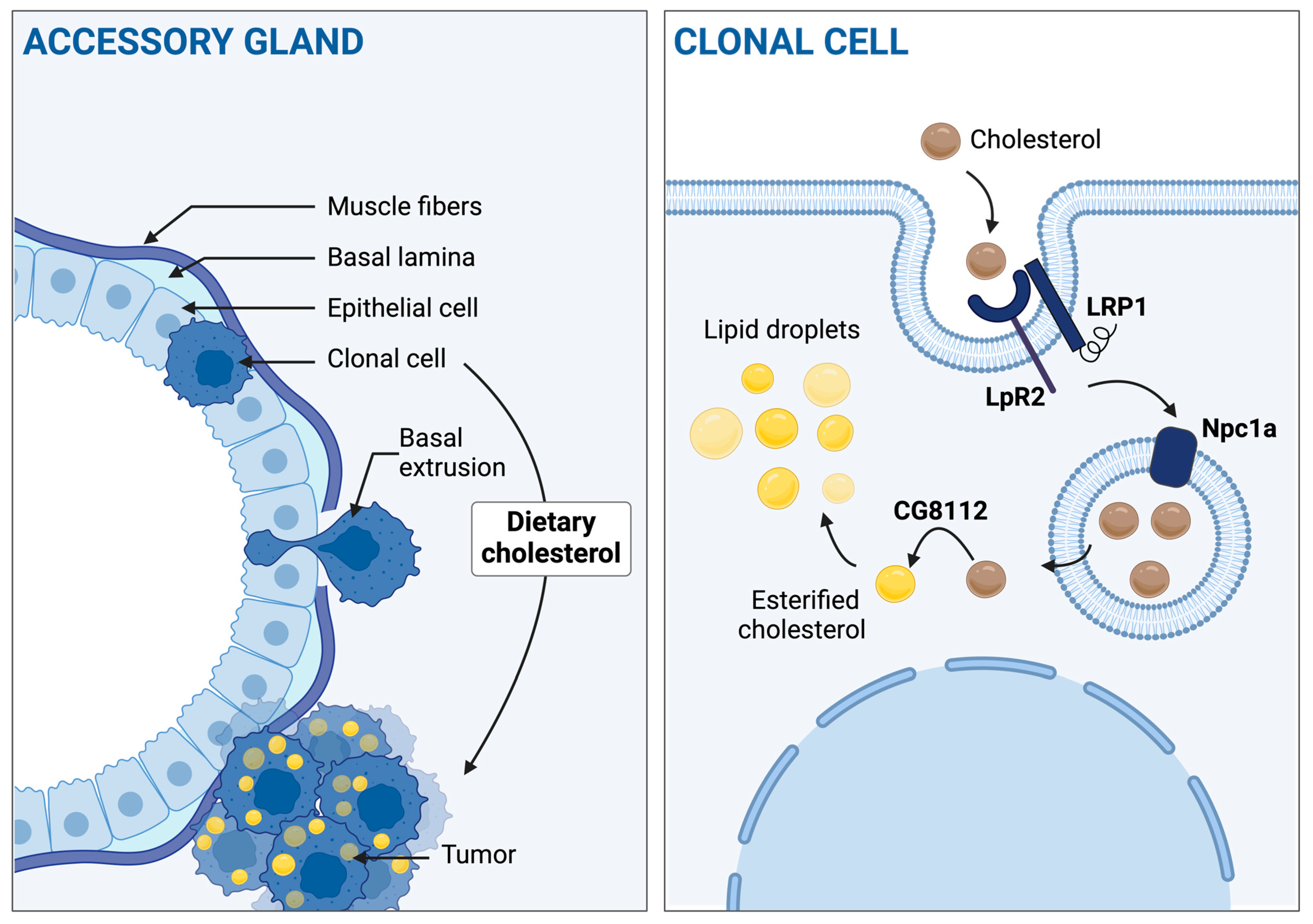 Cancers 16 02153 g009