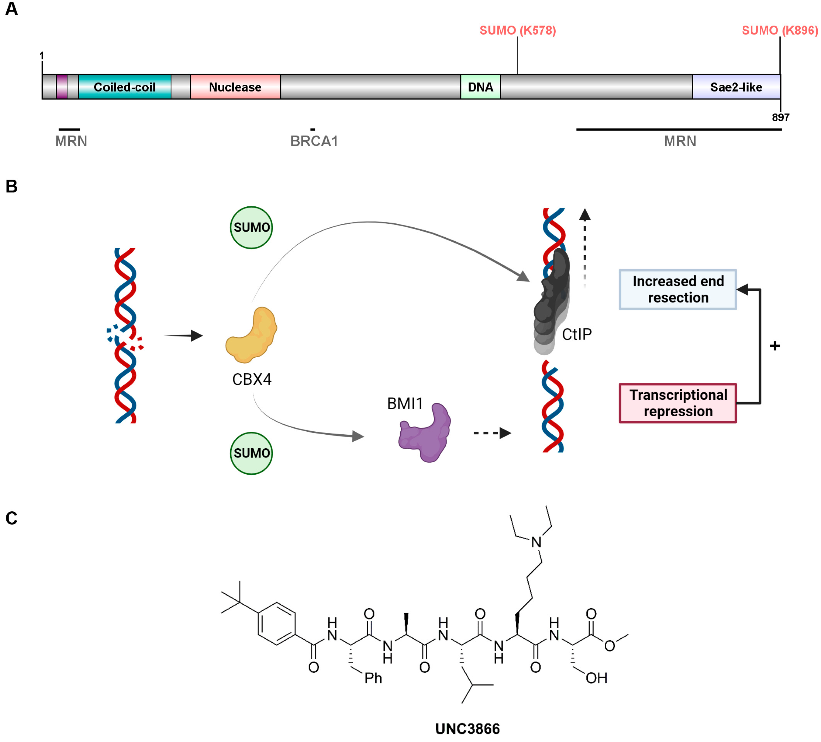 Cancers 16 02155 g001
