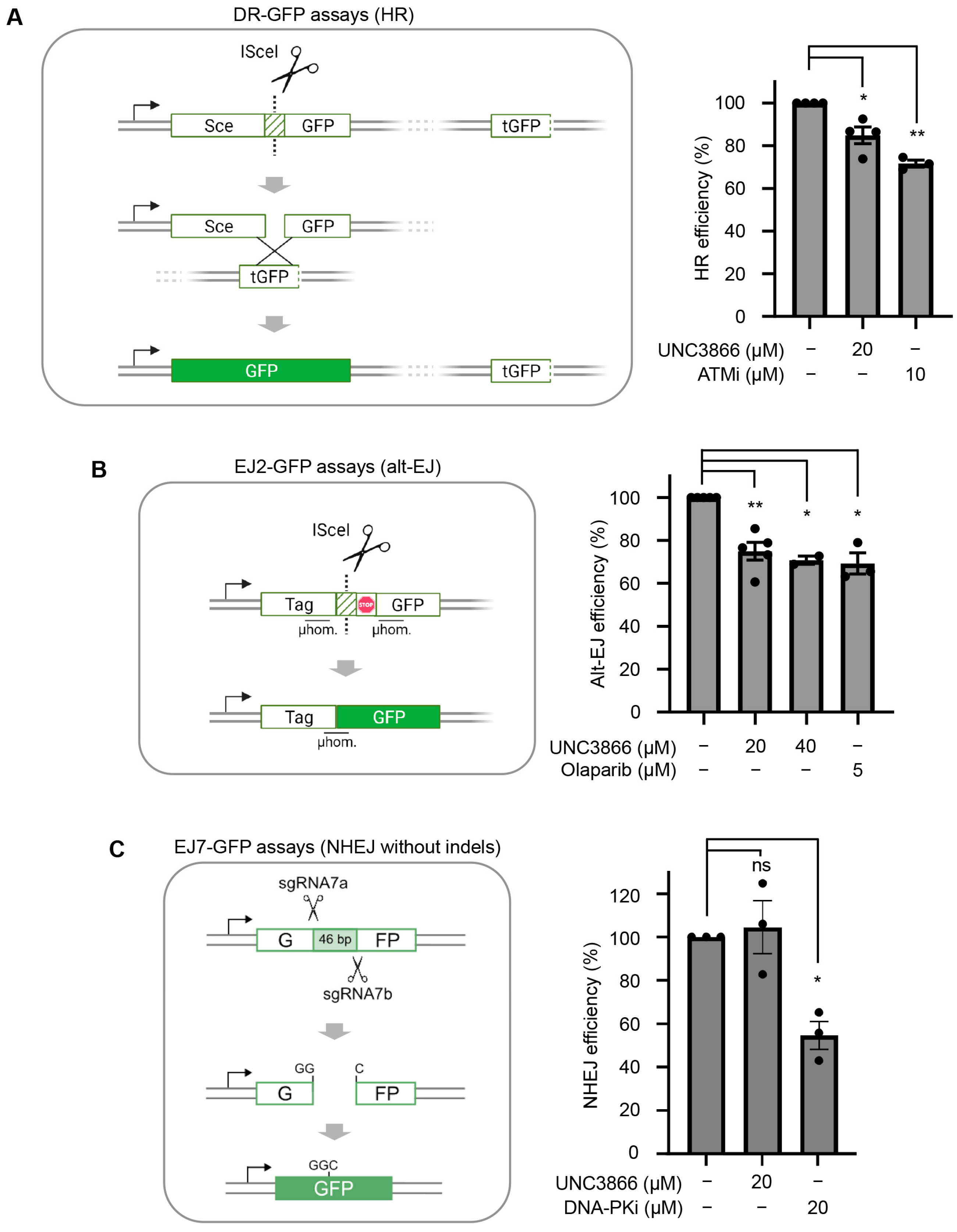 Cancers 16 02155 g003