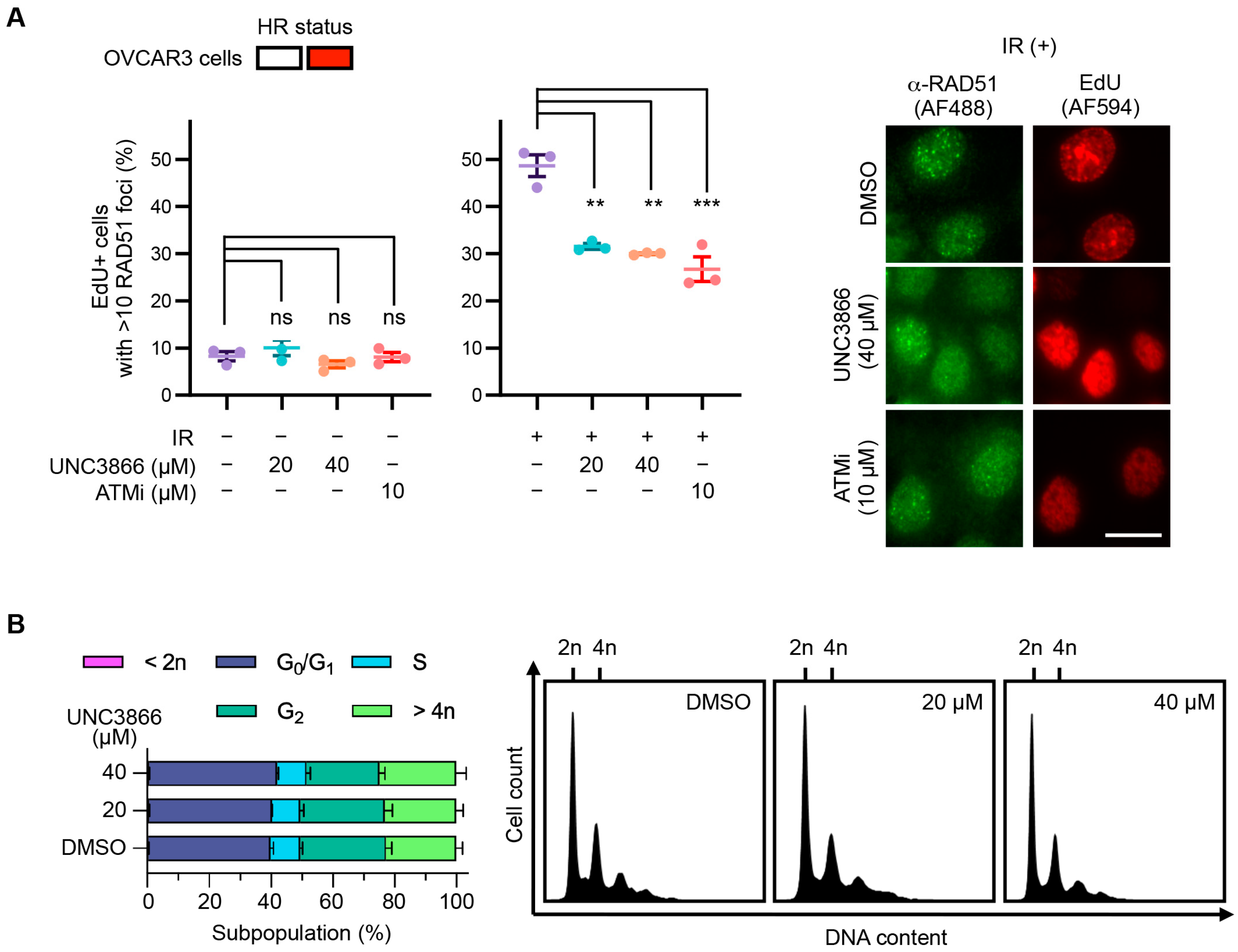 Cancers 16 02155 g006