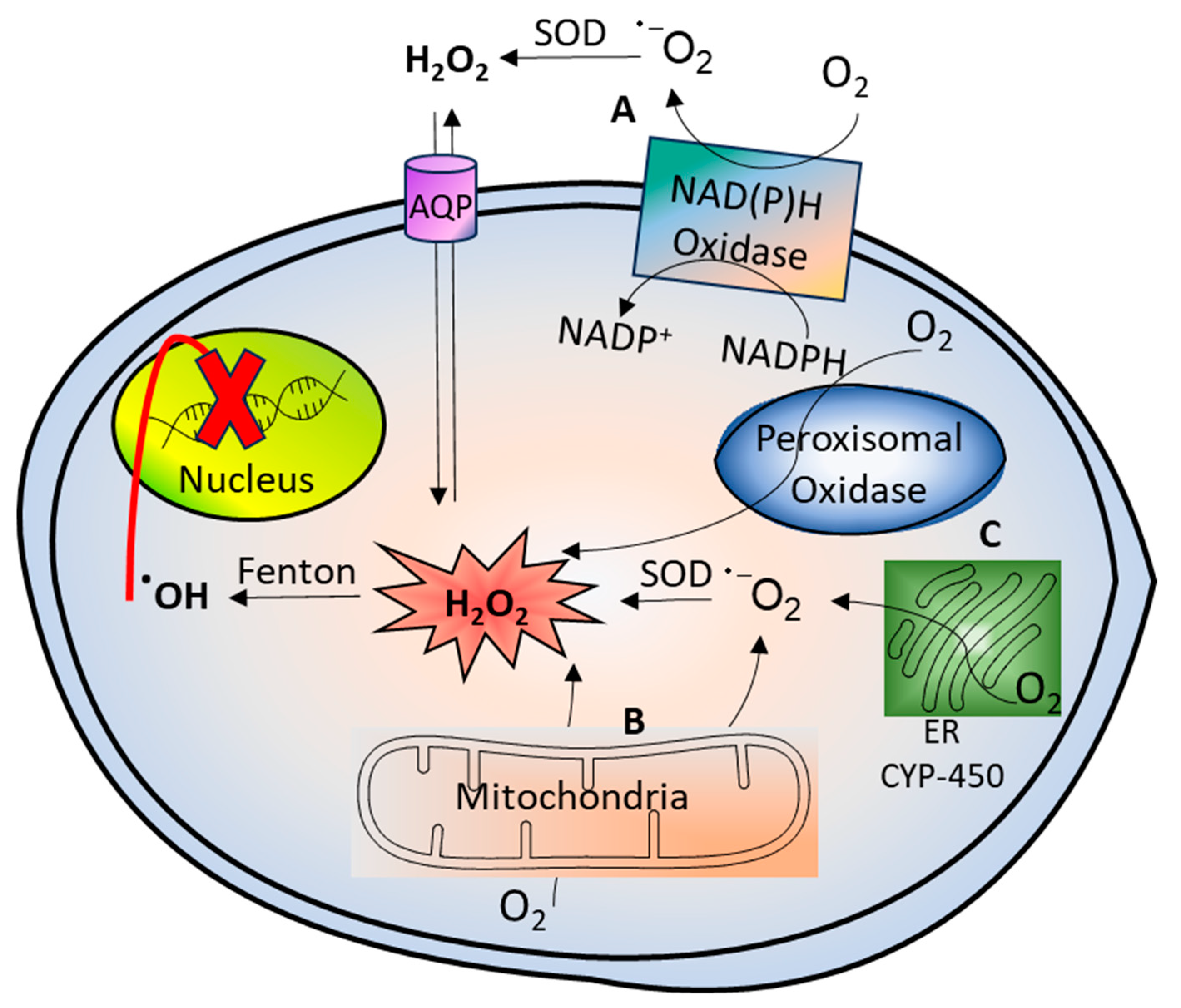 Cancers 16 02171 g002