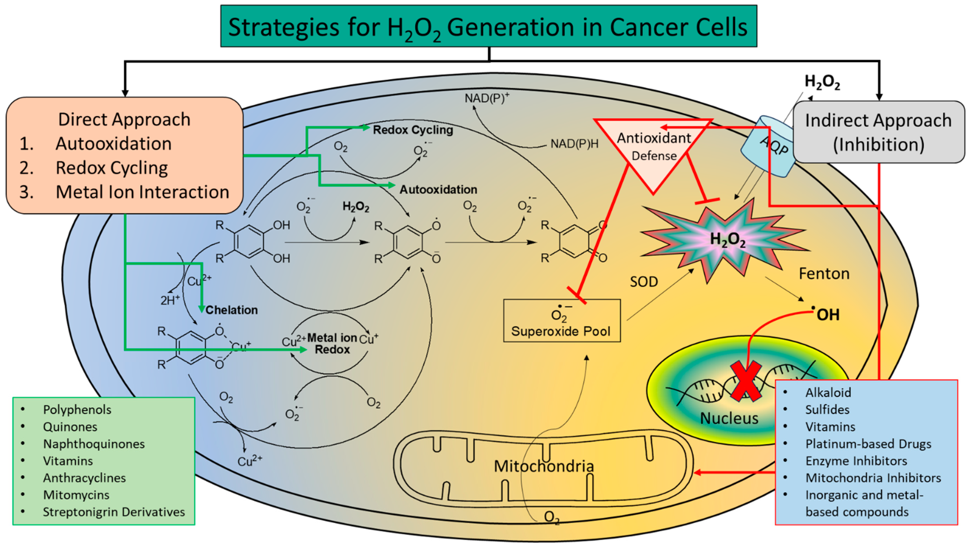 Cancers 16 02171 g005