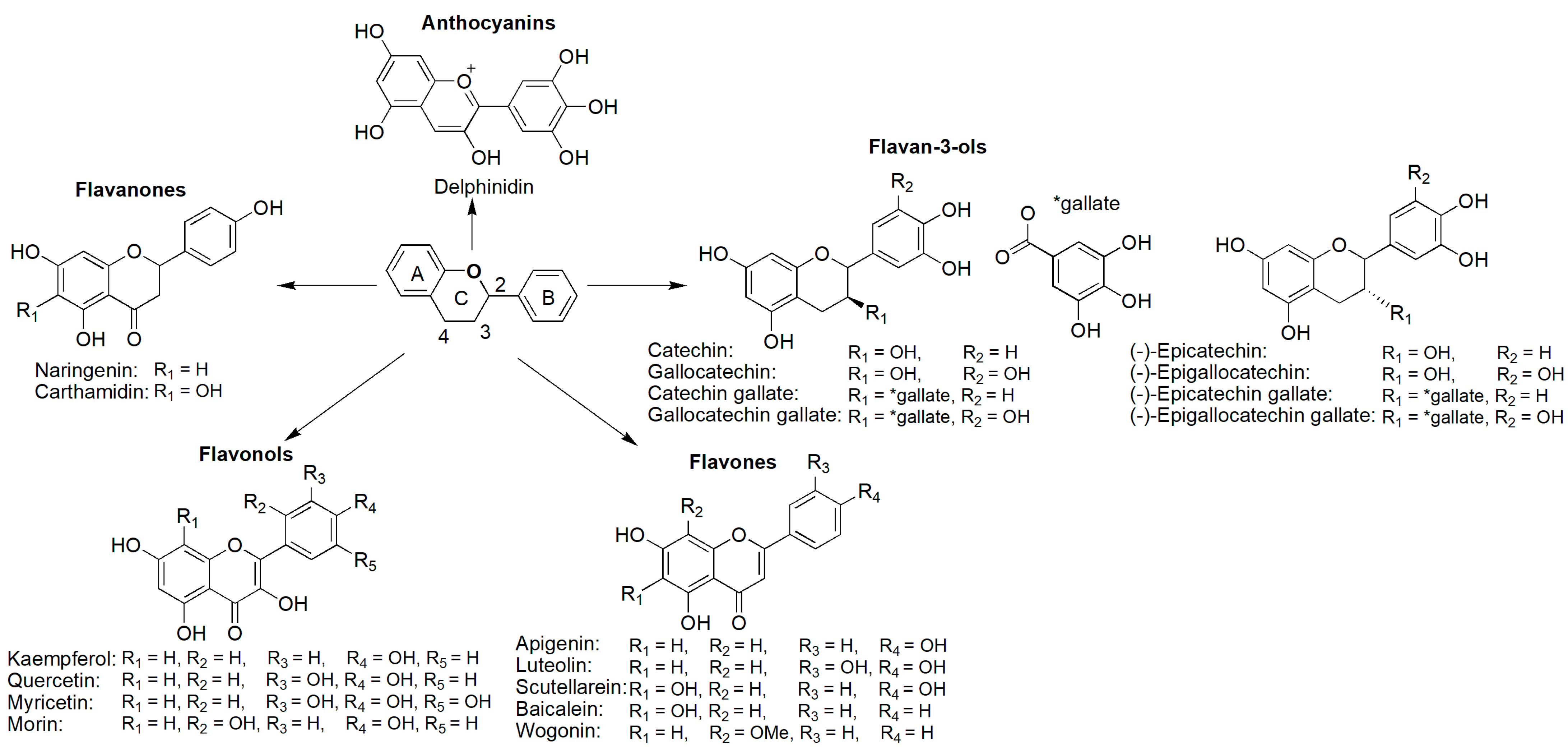 Cancers 16 02171 g007