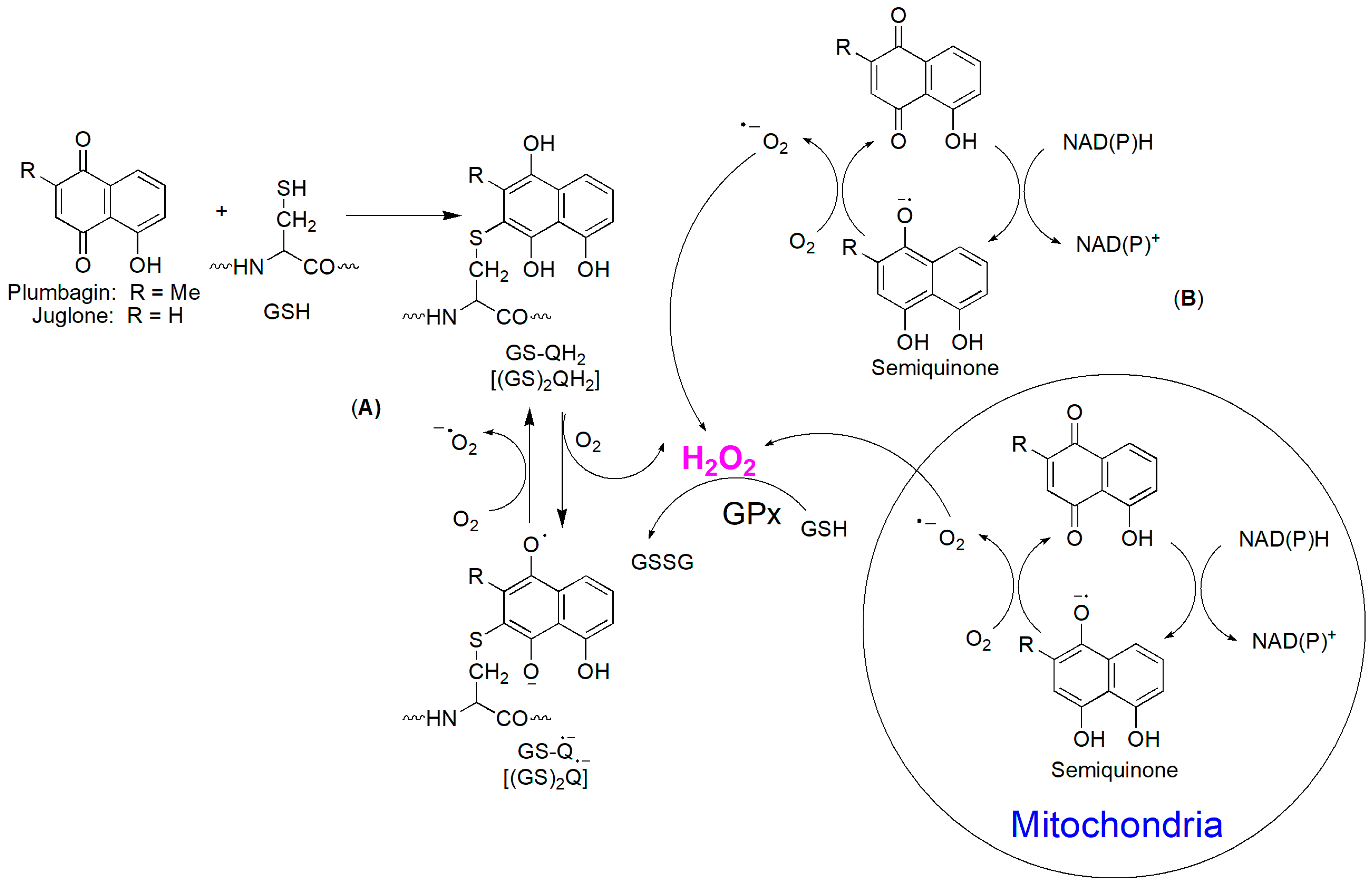 Cancers 16 02171 g014