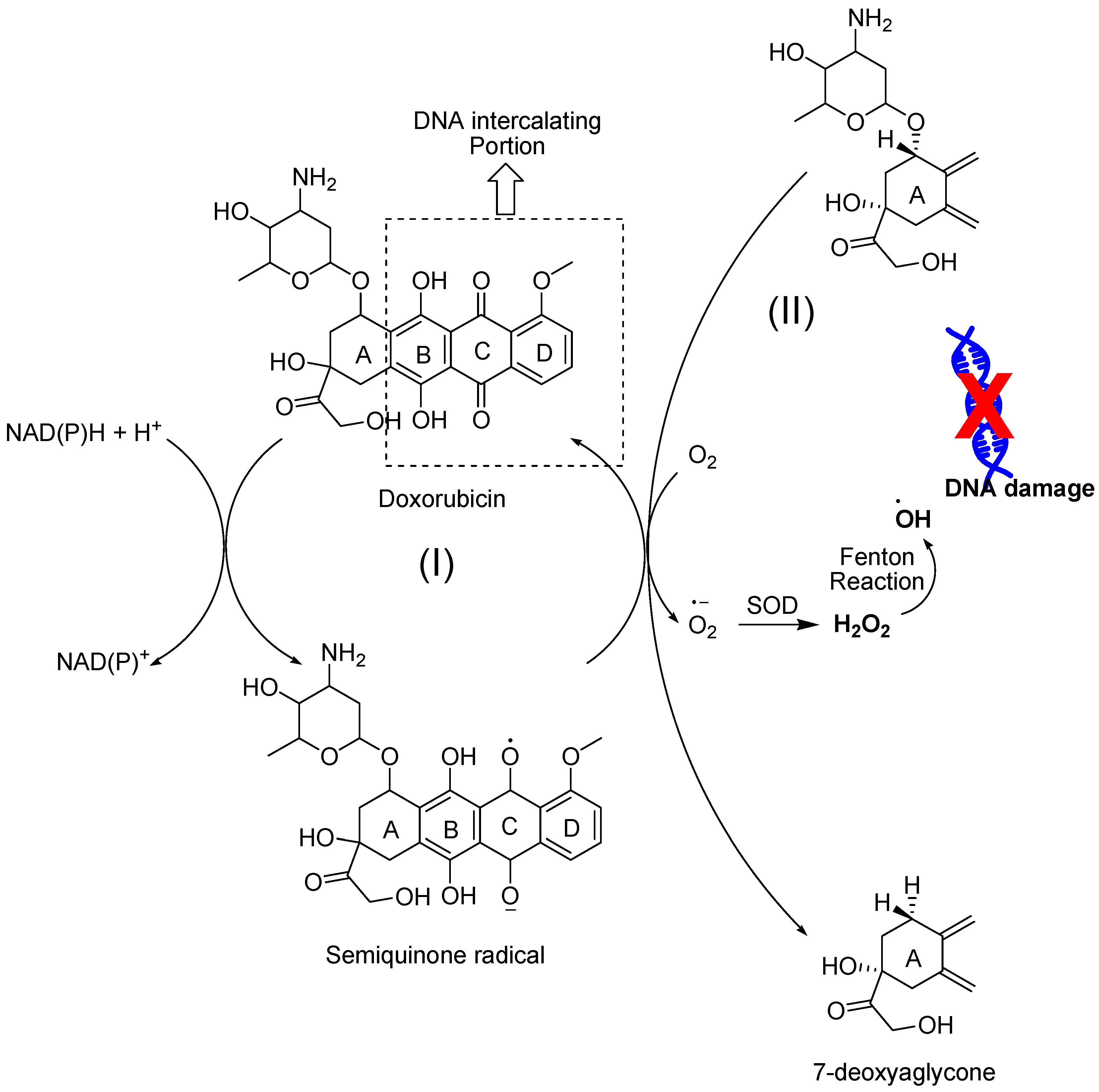 Cancers 16 02171 g016