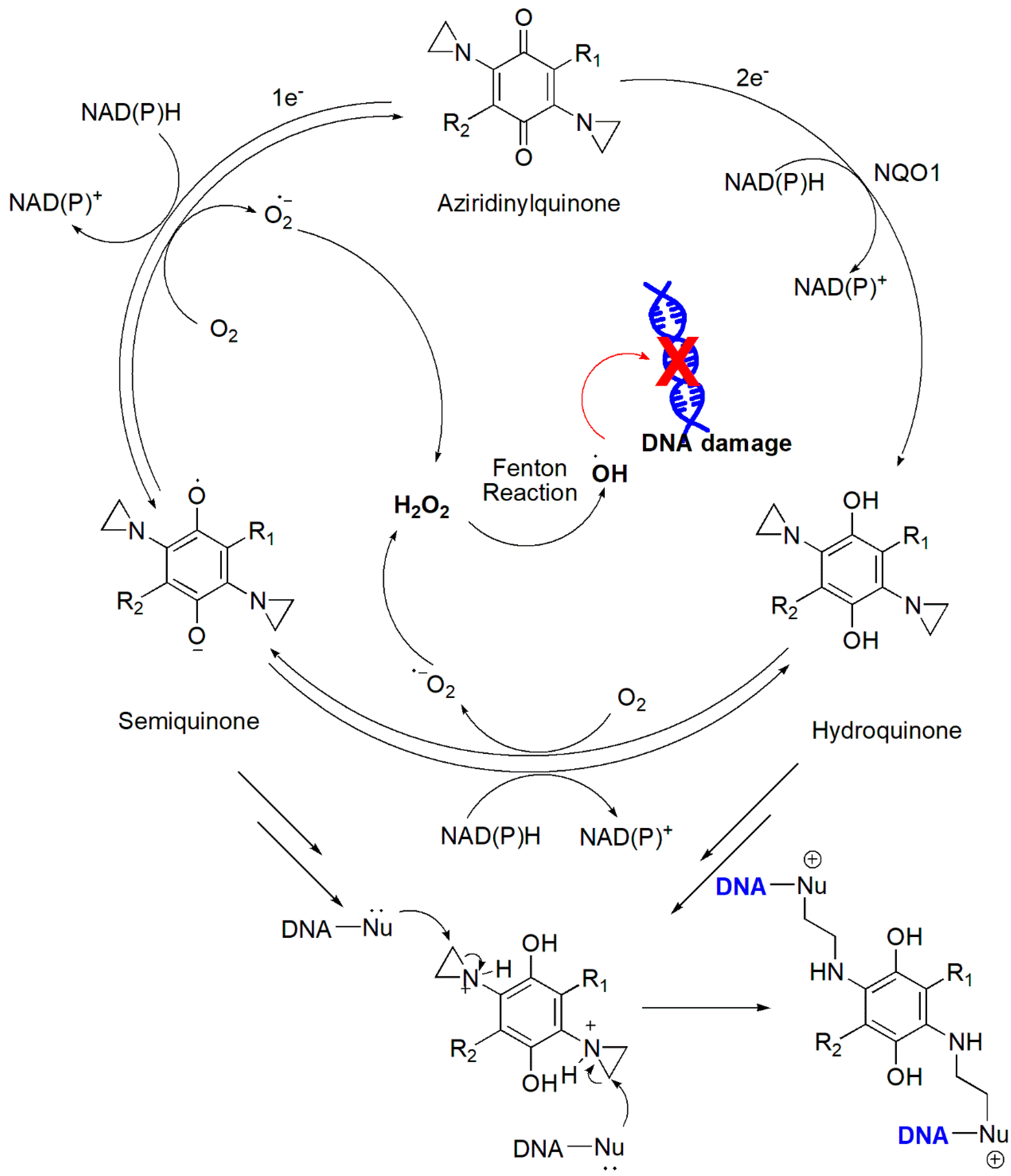 Cancers 16 02171 g018