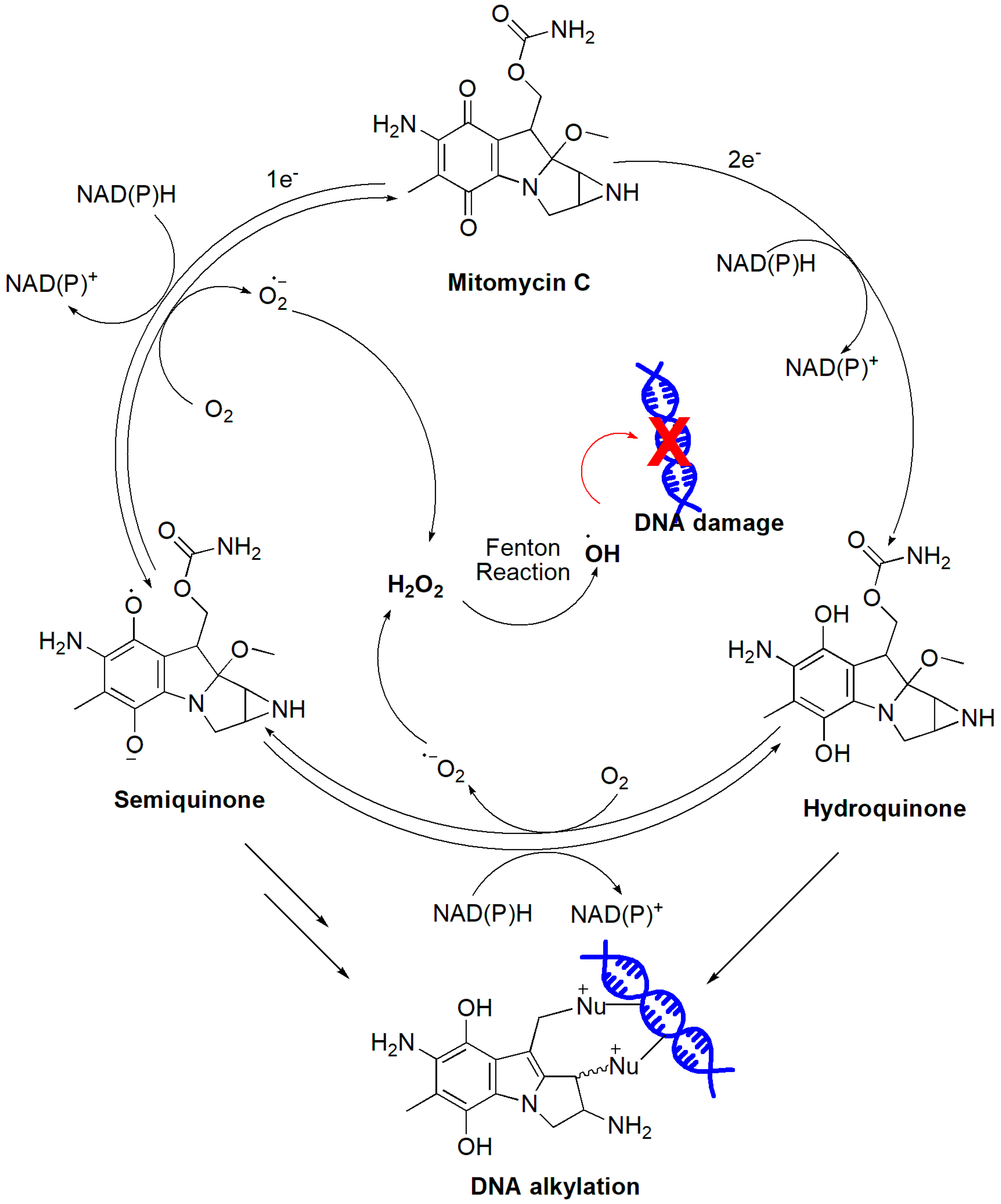 Cancers 16 02171 g020