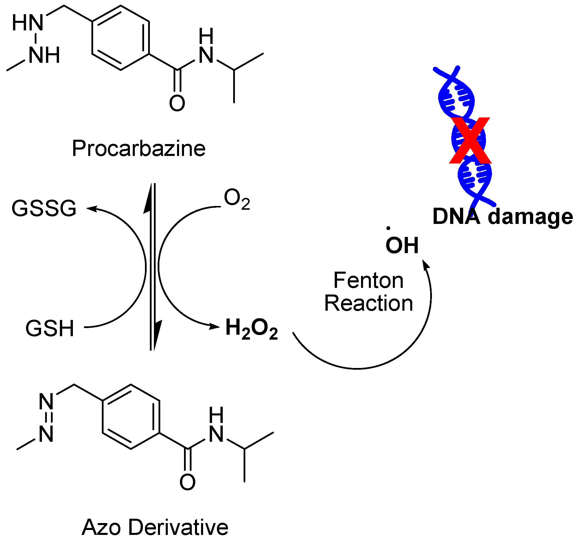 Cancers 16 02171 g024