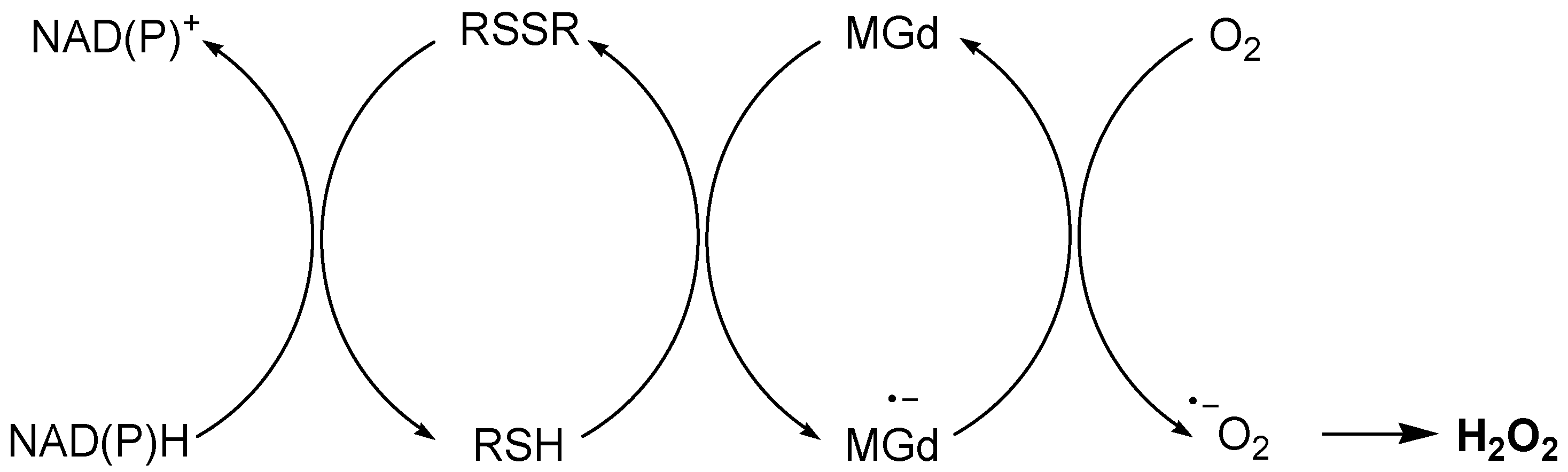 Cancers 16 02171 g025