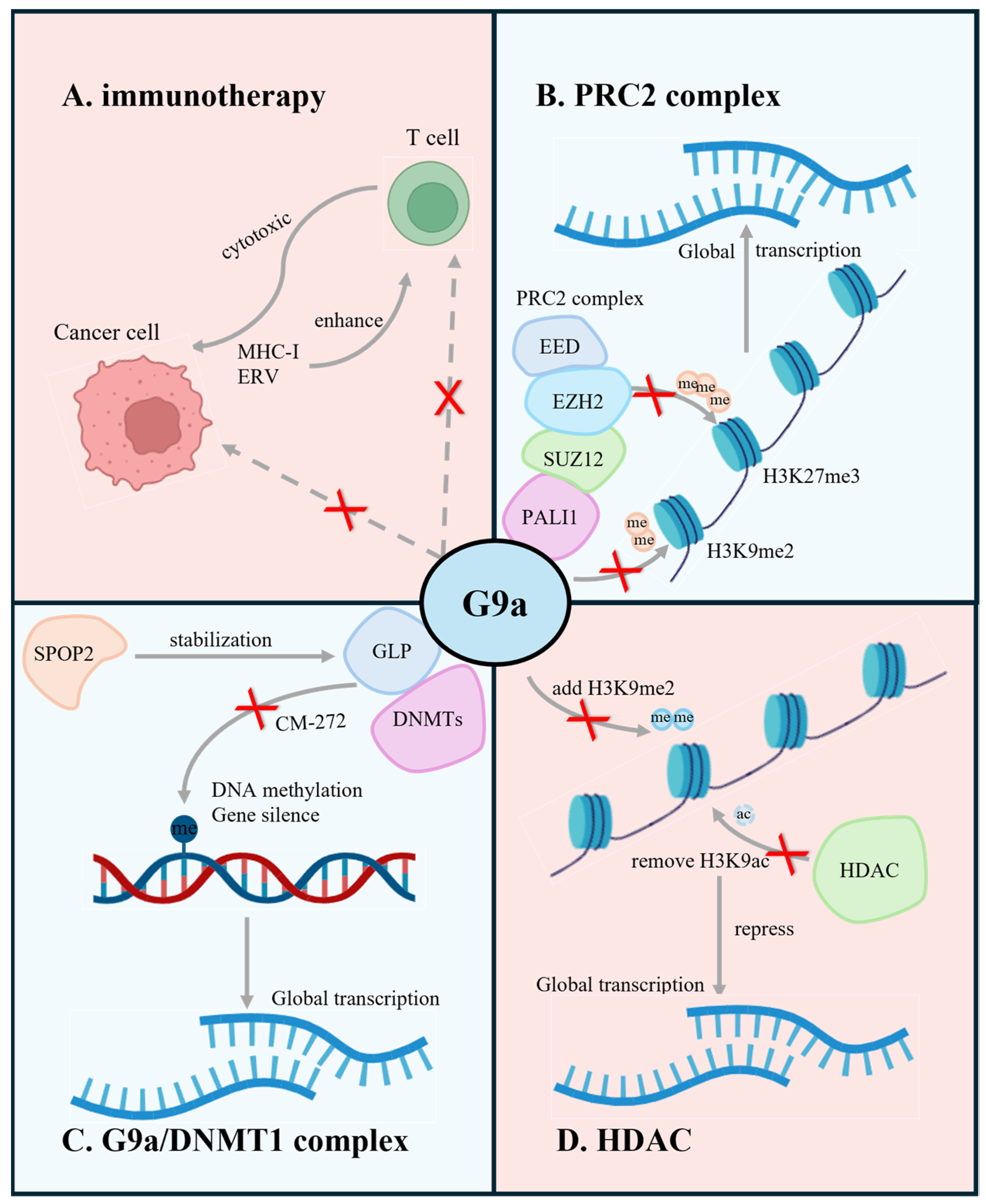 Cancers 16 02175 g004 Cancers 16 02175 g004