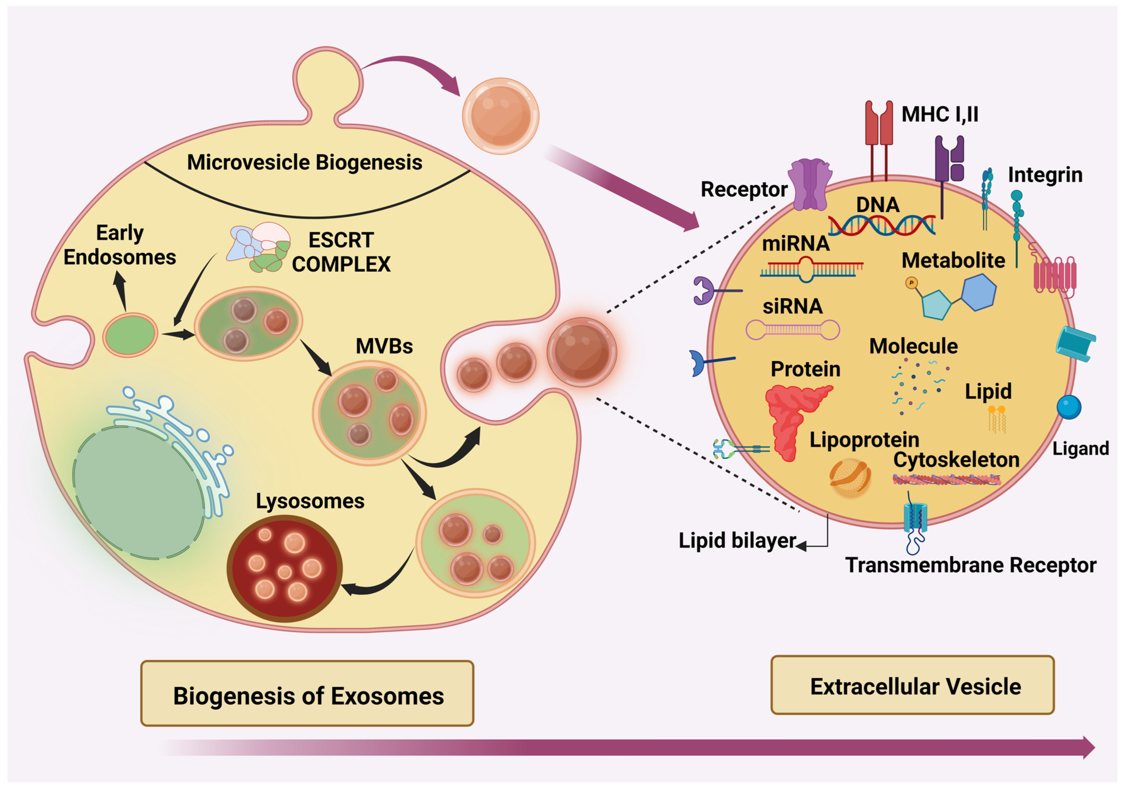 Cancers 16 02179 g001 Cancers 16 02179 g001
