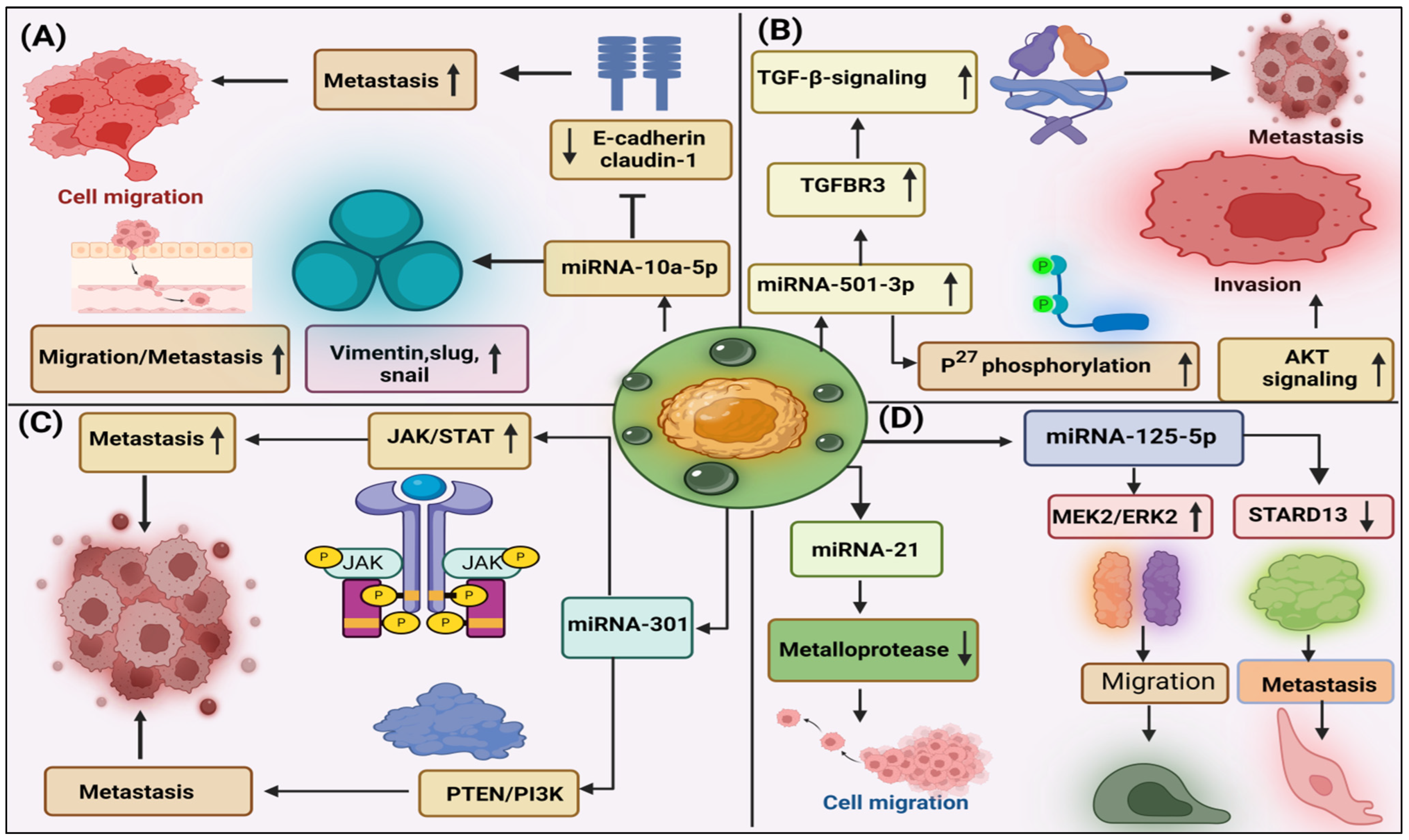 Cancers 16 02179 g002 Cancers 16 02179 g002