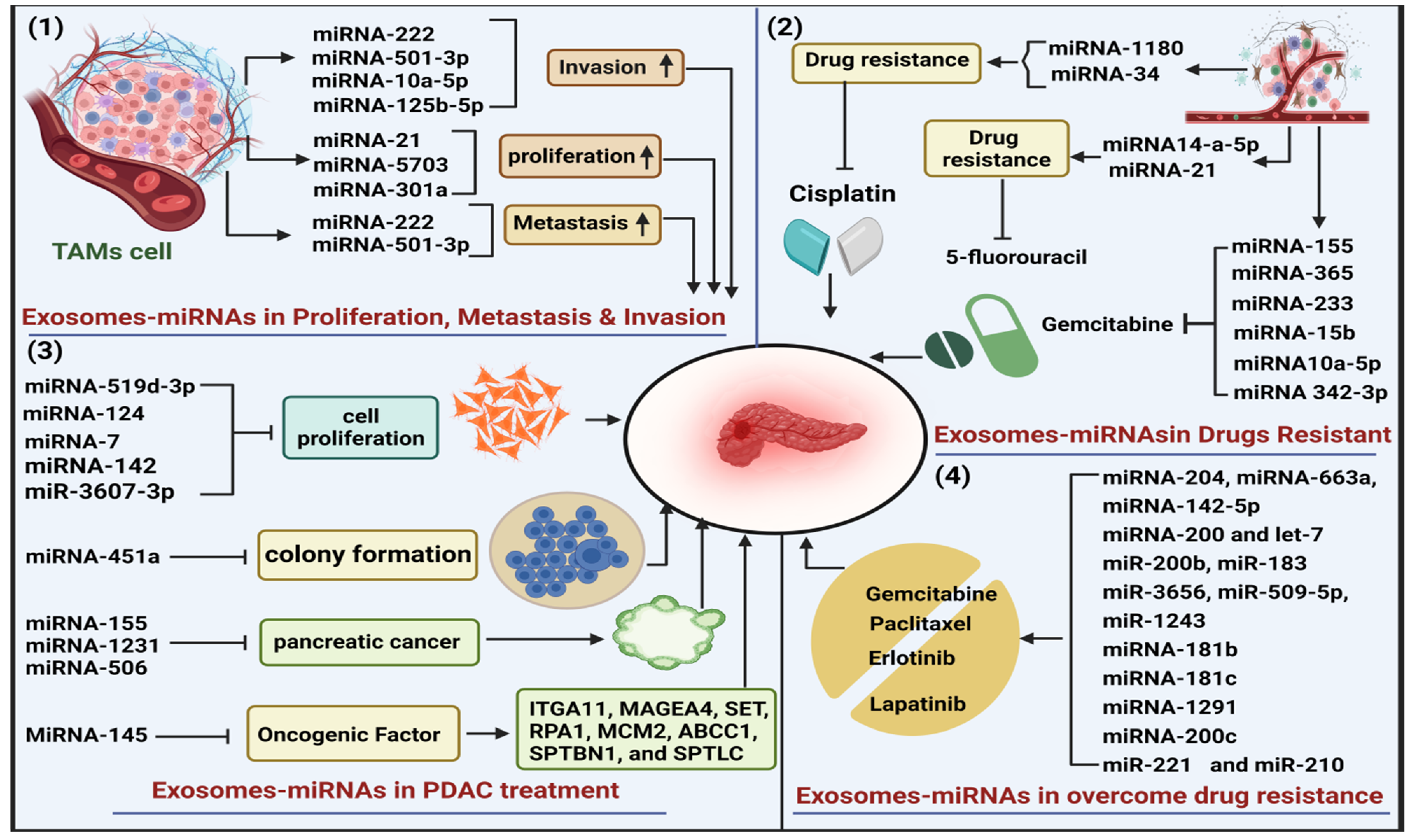 Cancers 16 02179 g003 Cancers 16 02179 g003