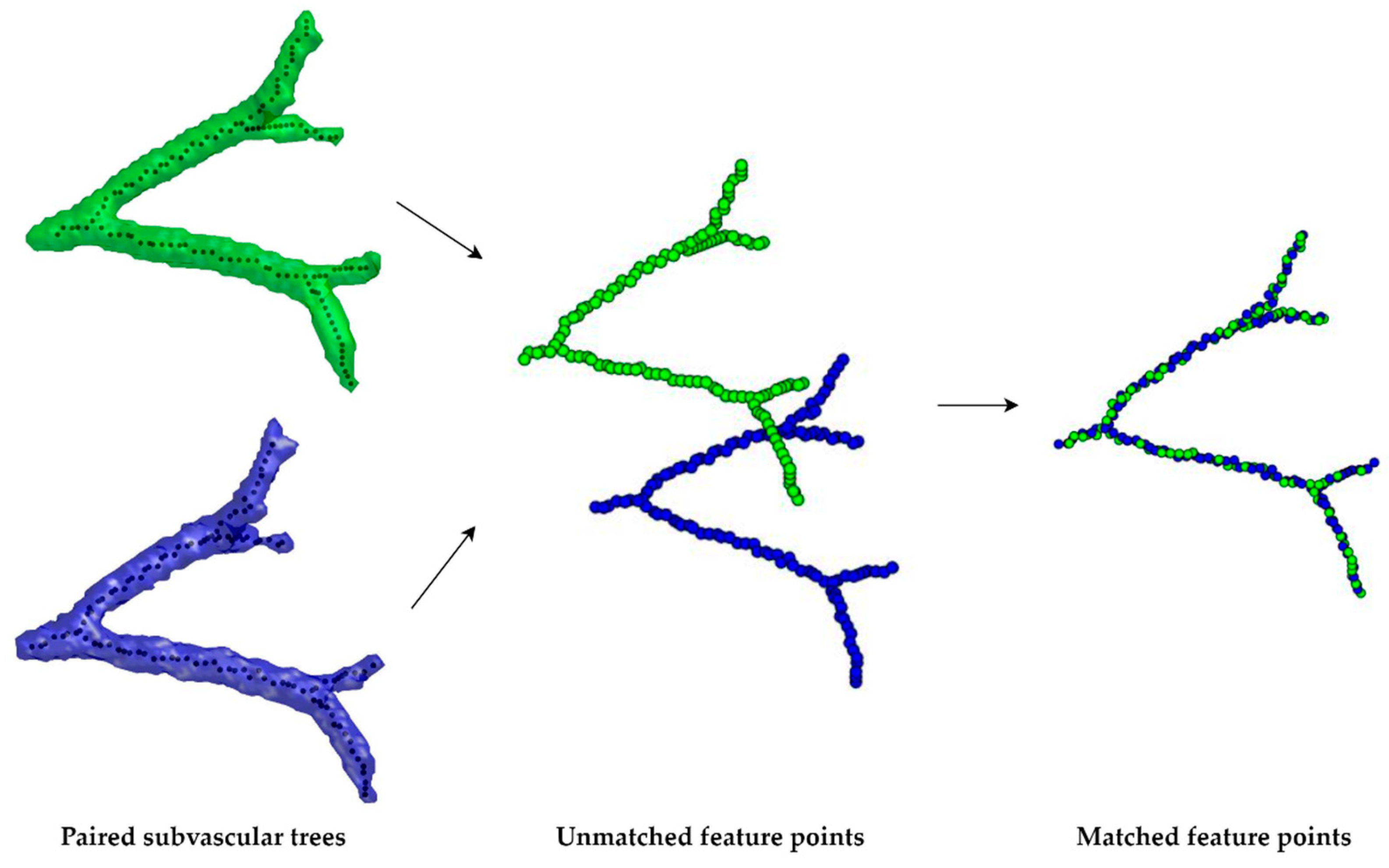 Cancers 16 02181 g003