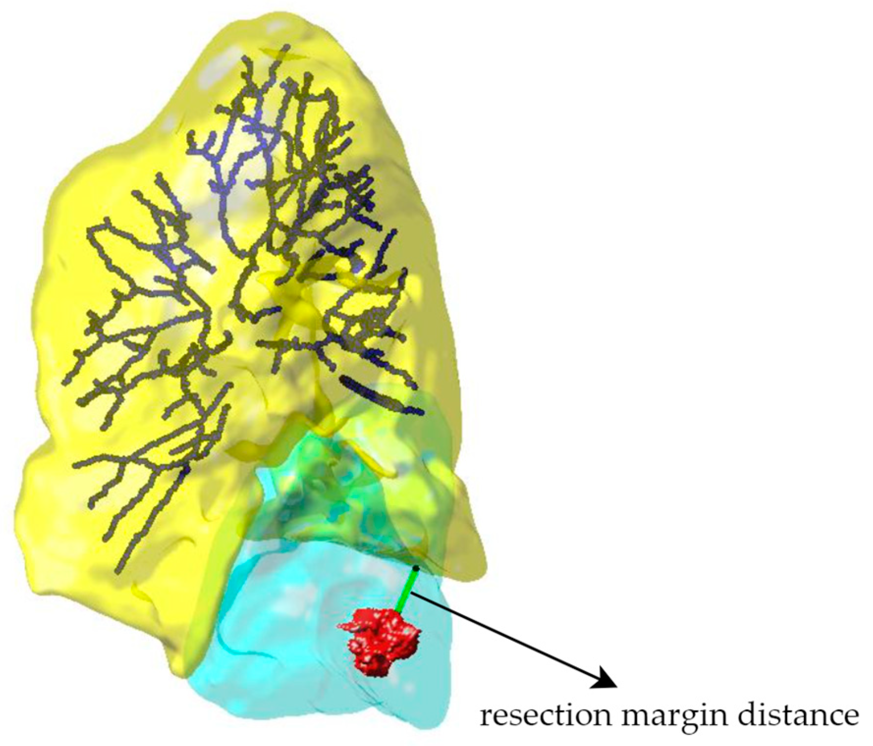 Cancers 16 02181 g007
