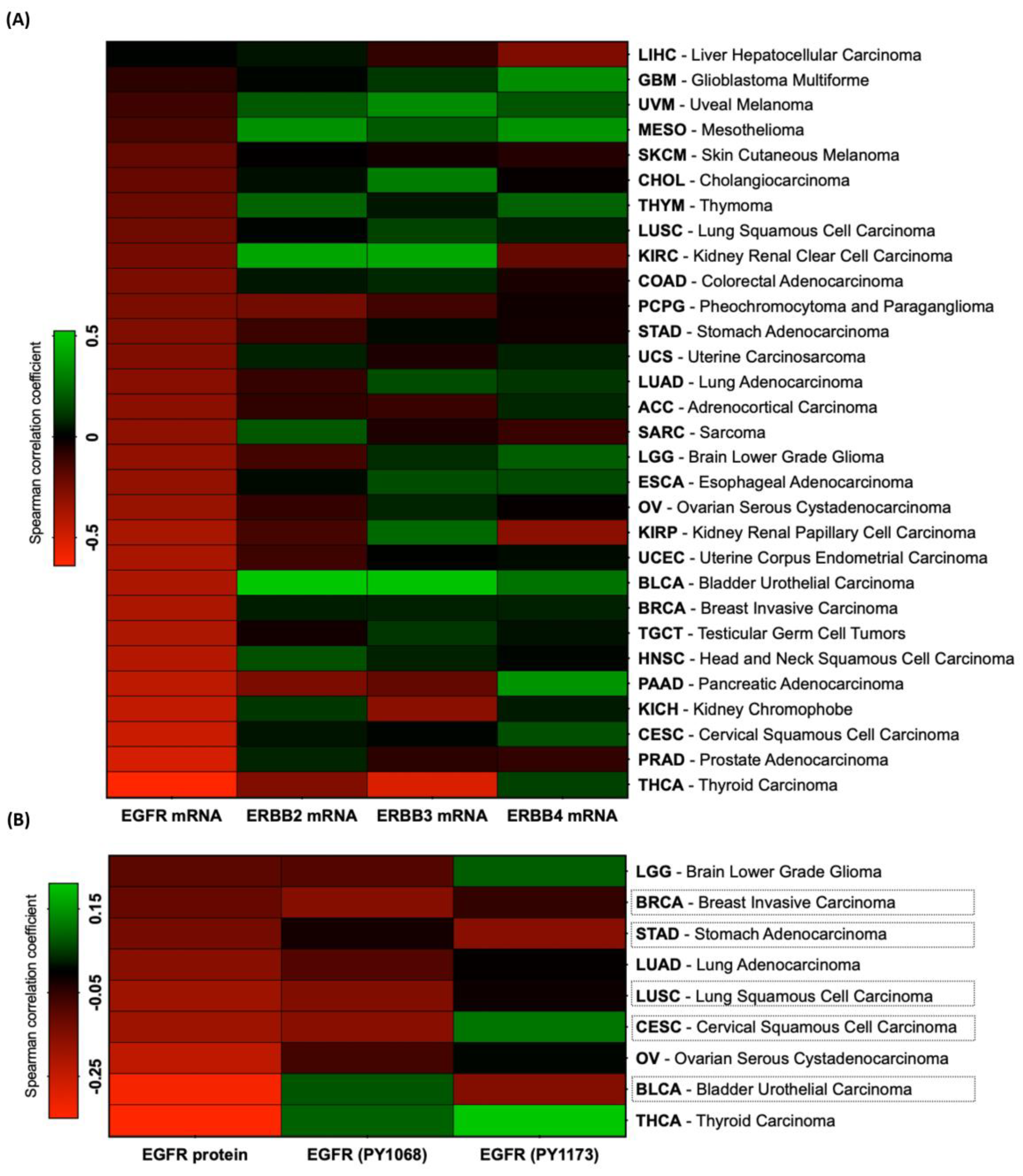 Cancers 16 02182 g001 Cancers 16 02182 g001