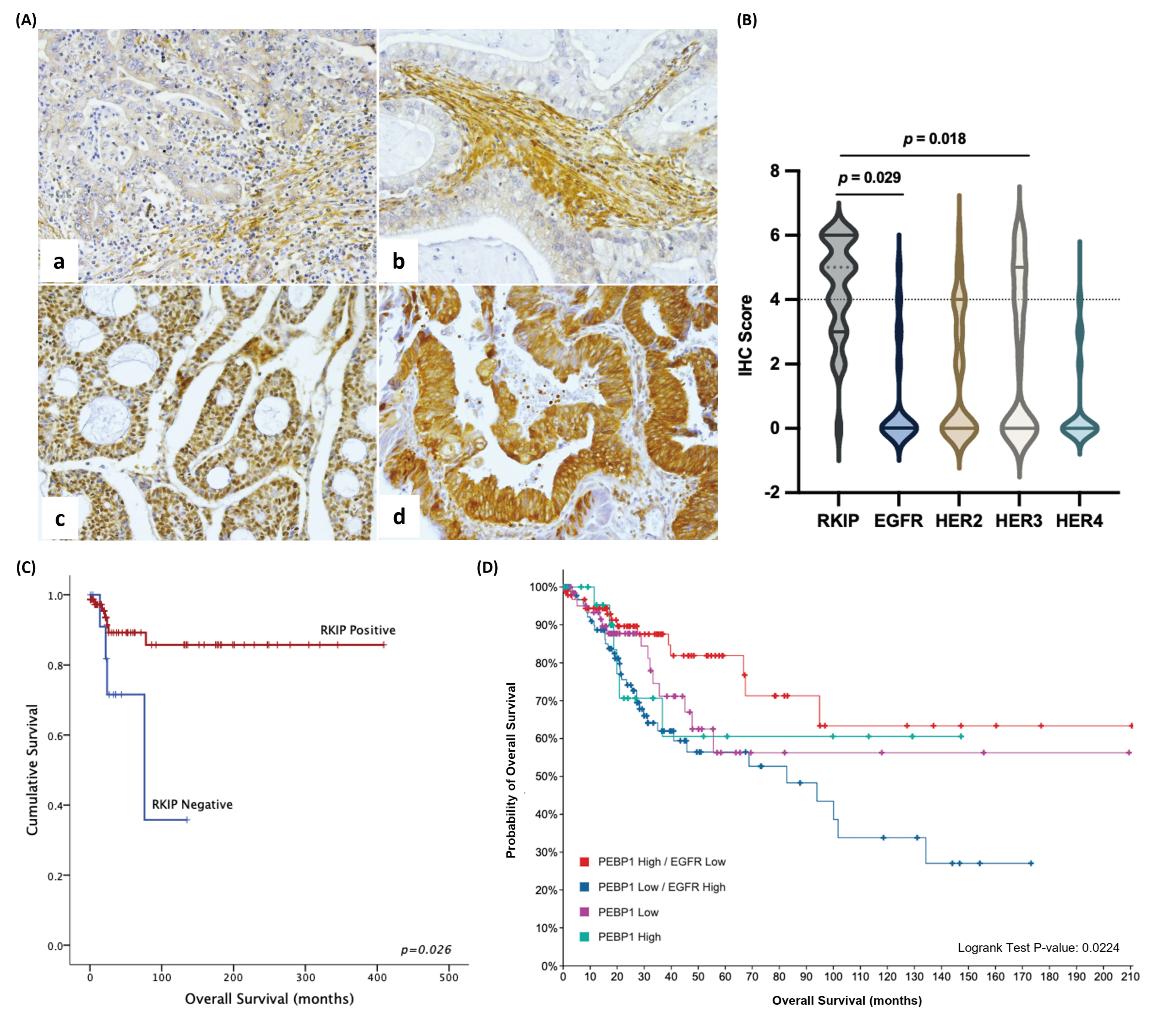 Cancers 16 02182 g002 Cancers 16 02182 g002
