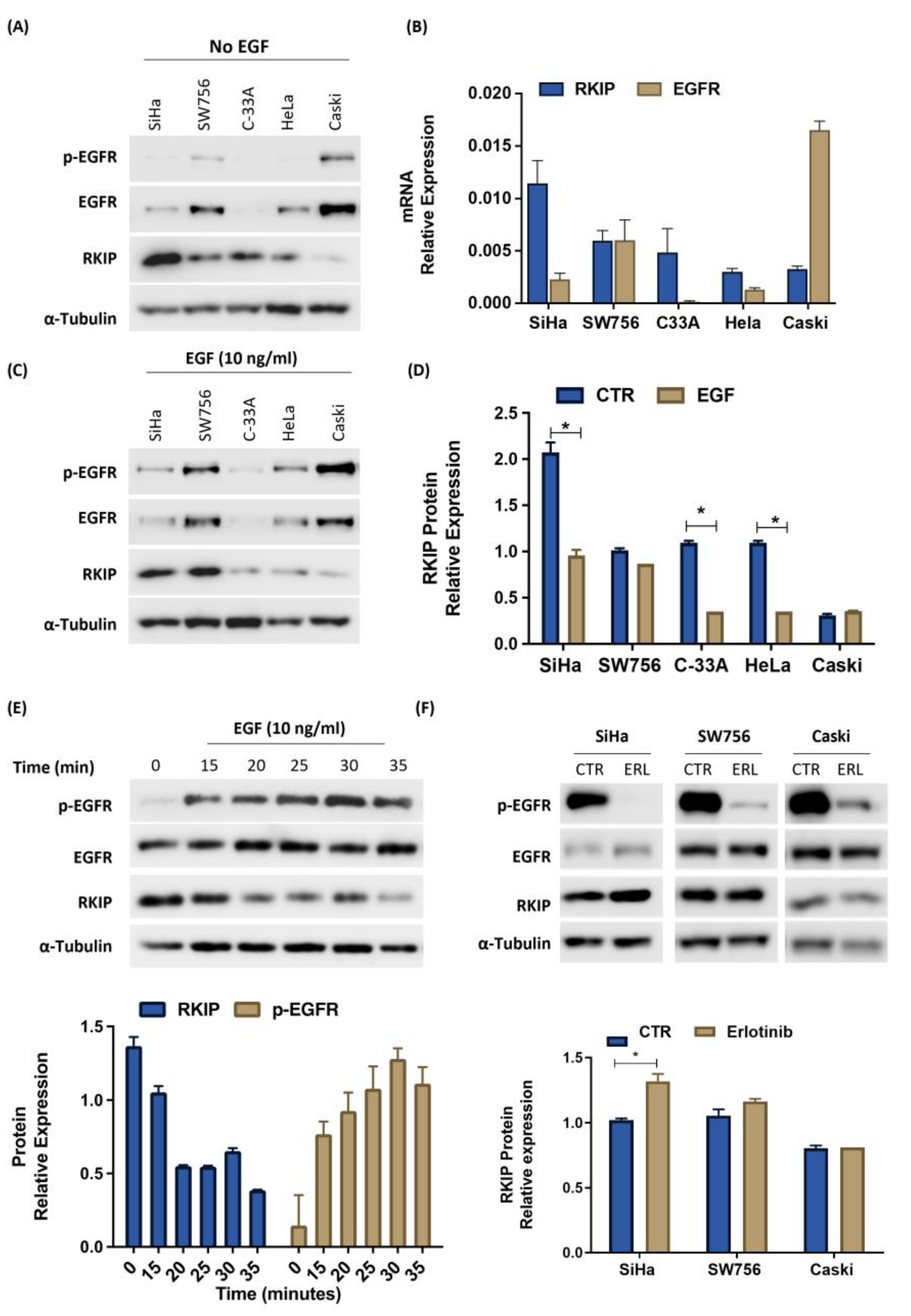 Cancers 16 02182 g003 Cancers 16 02182 g003