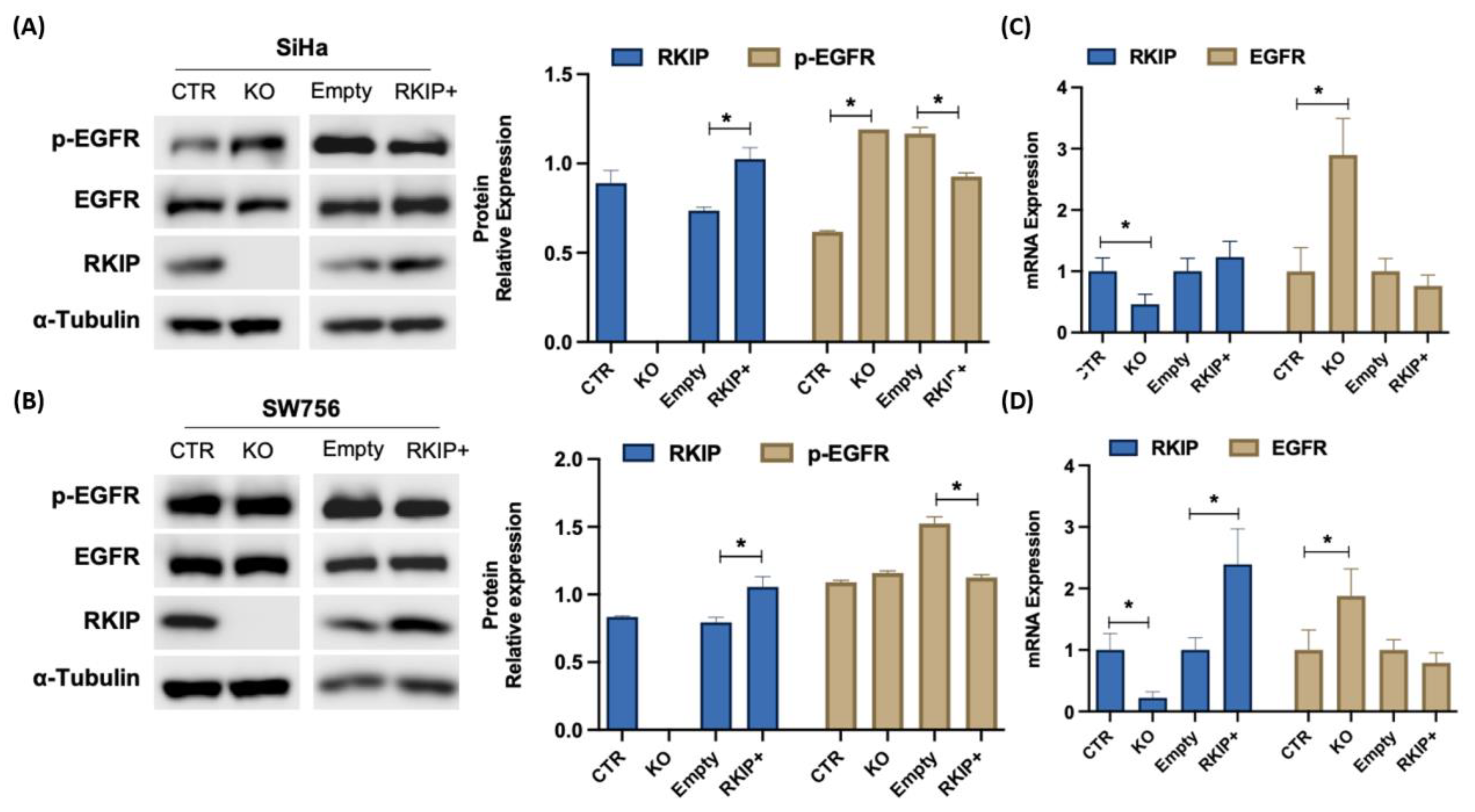 Cancers 16 02182 g004 Cancers 16 02182 g004