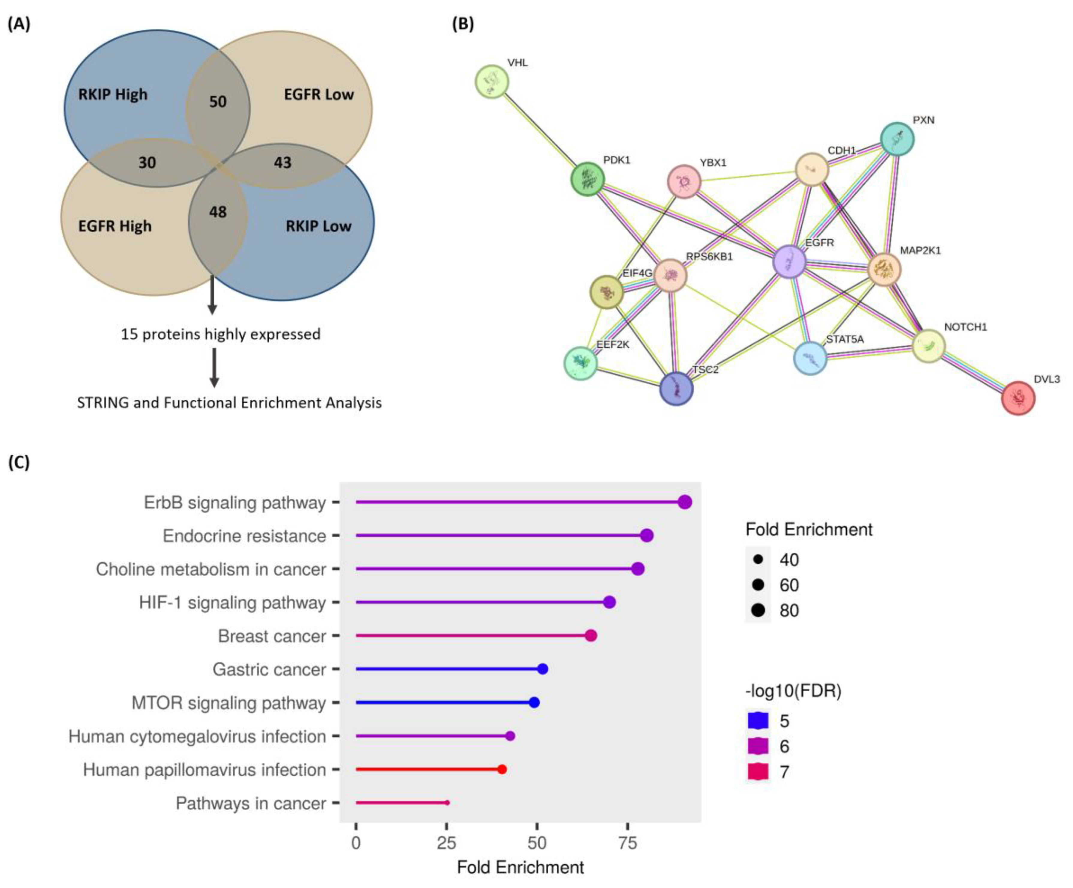Cancers 16 02182 g005 Cancers 16 02182 g005