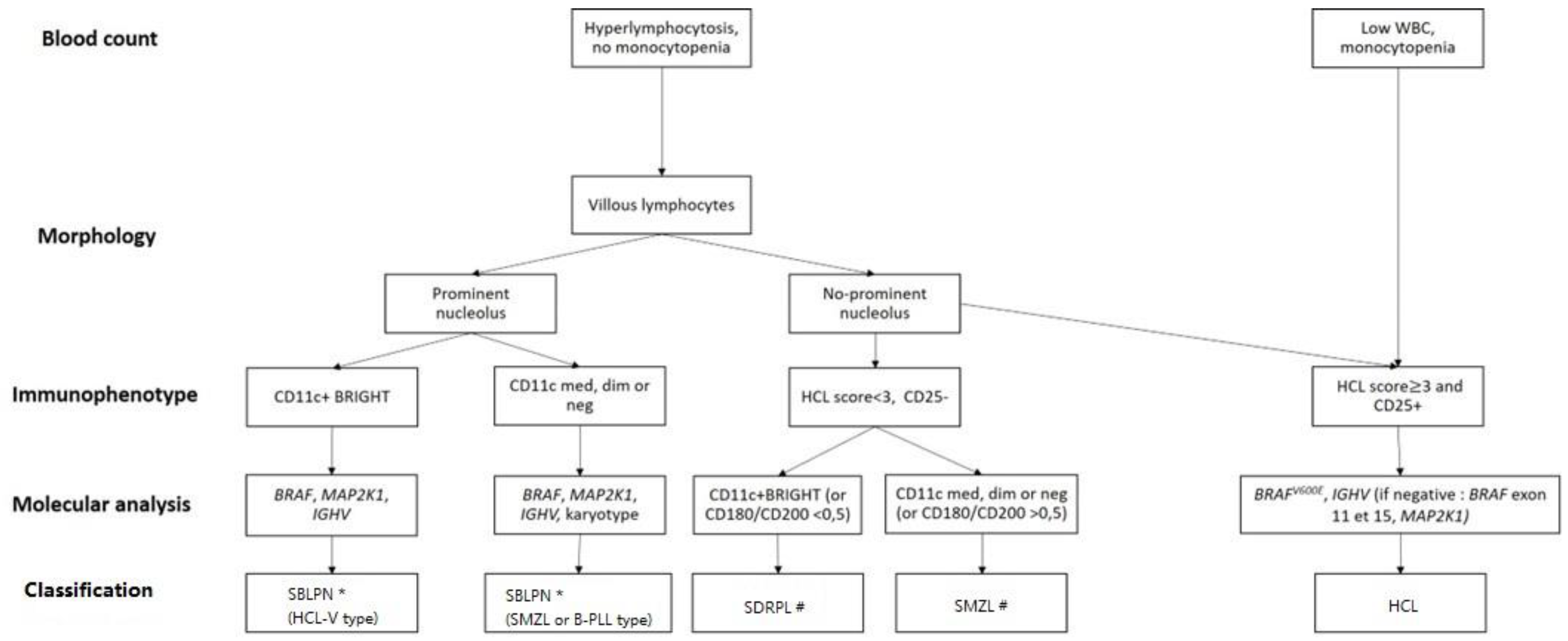 Cancers 16 02185 g001 Cancers 16 02185 g001