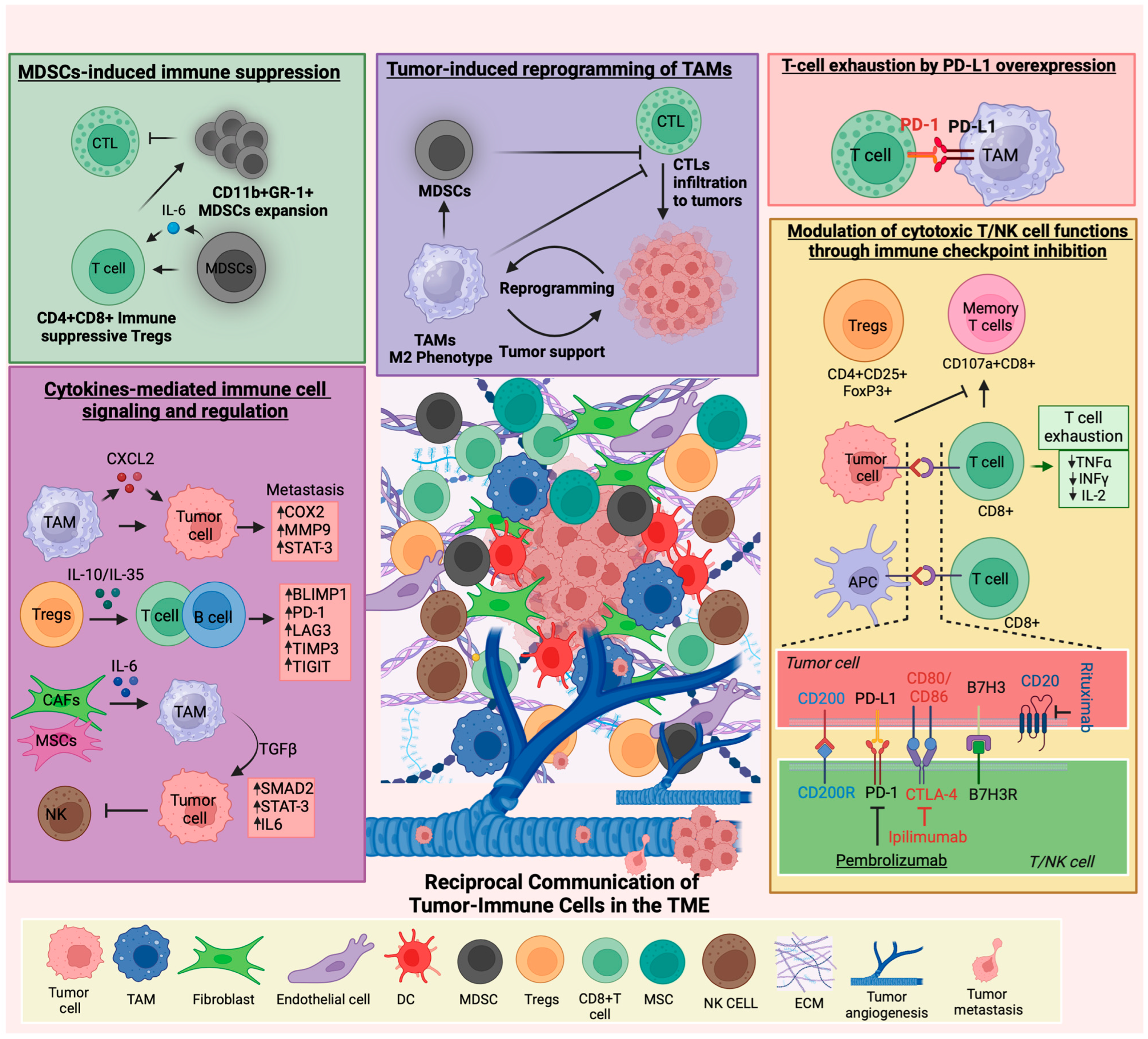 Cancers 16 02201 g001