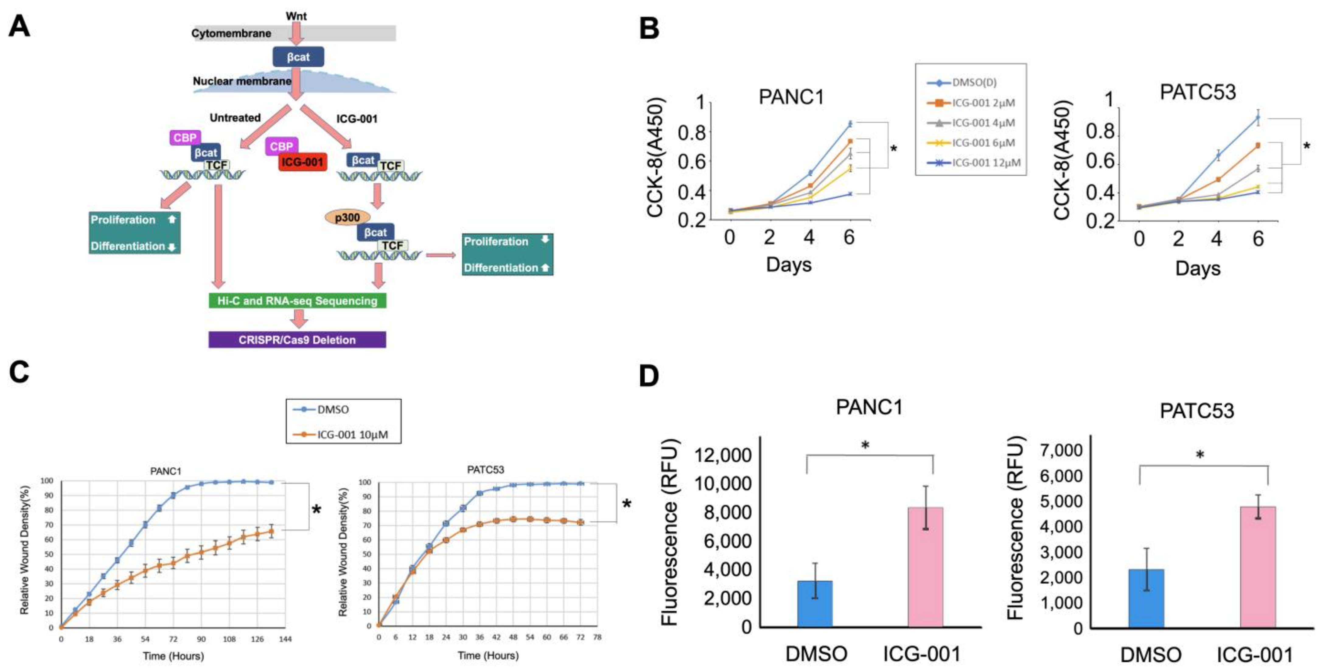 Cancers 16 02202 g001