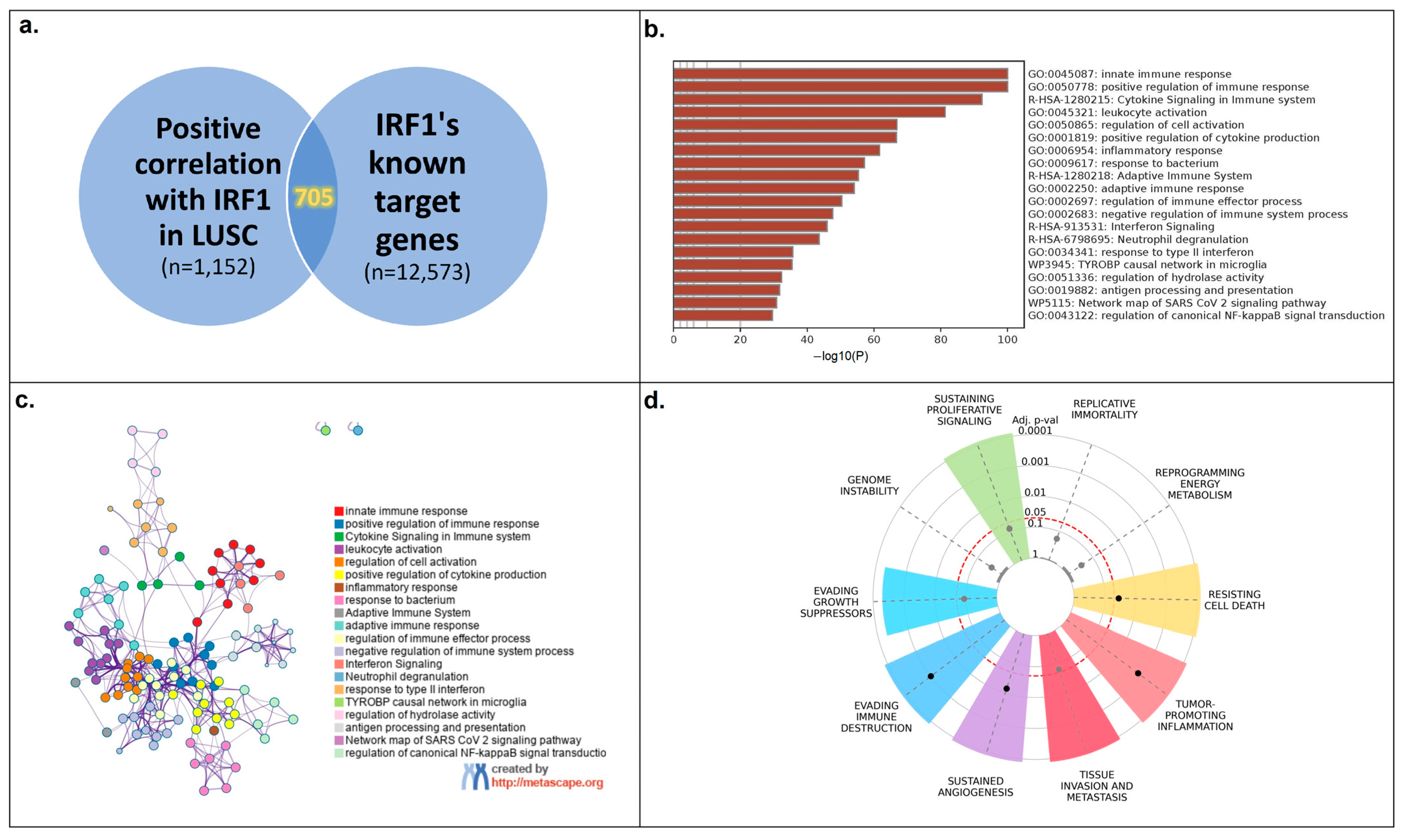 Cancers 16 02208 g005