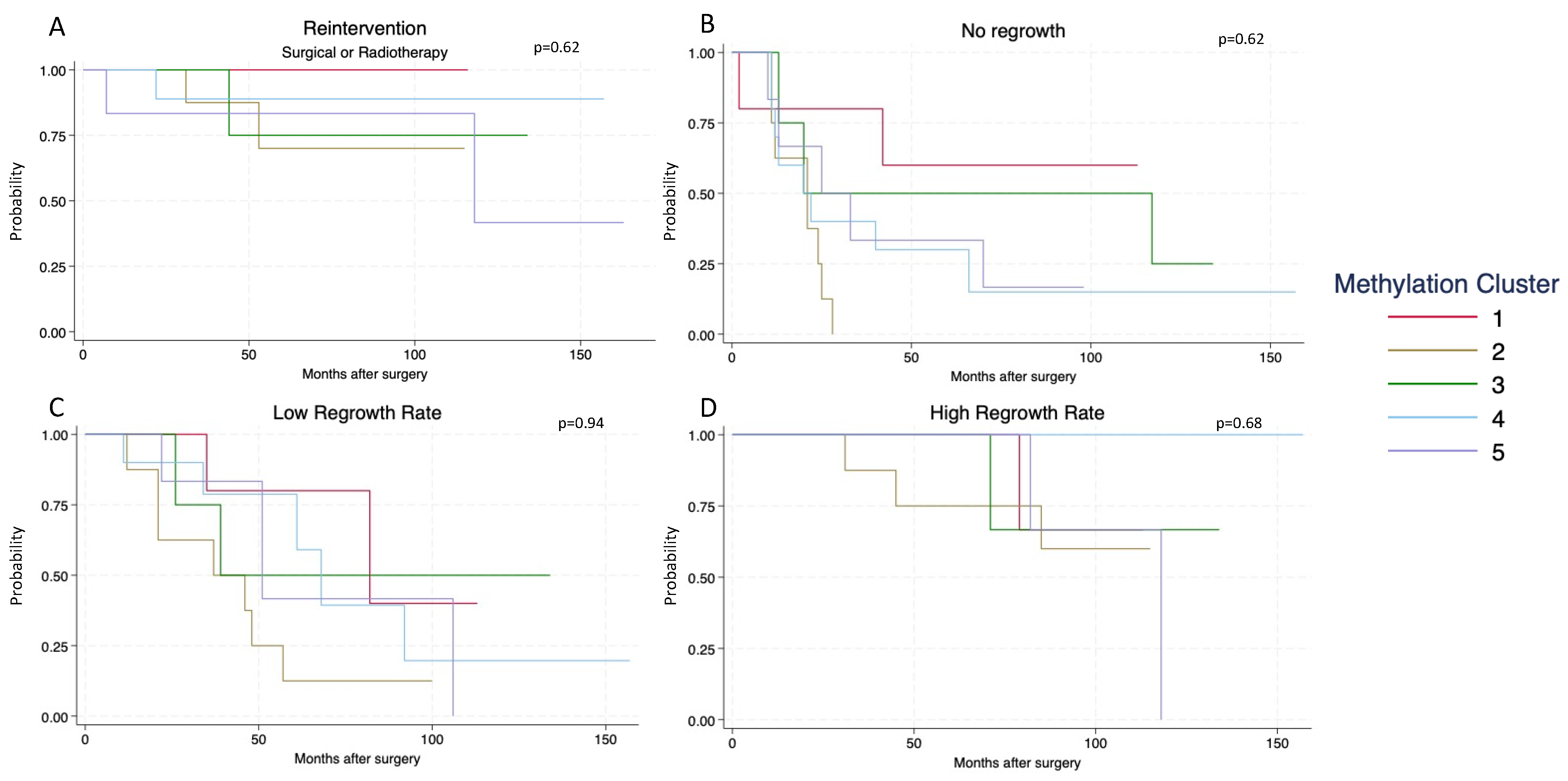 Cancers 16 02210 g005