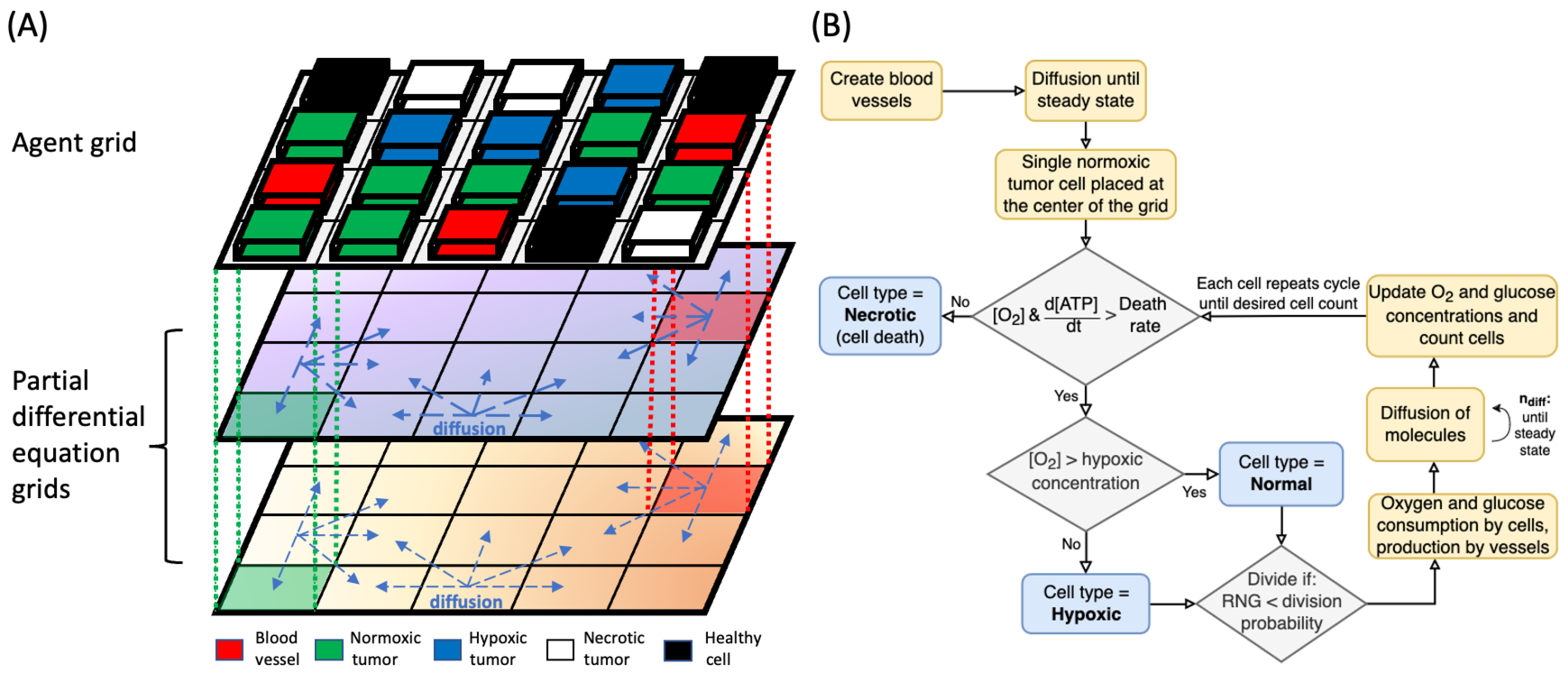 Cancers 16 02215 g001
