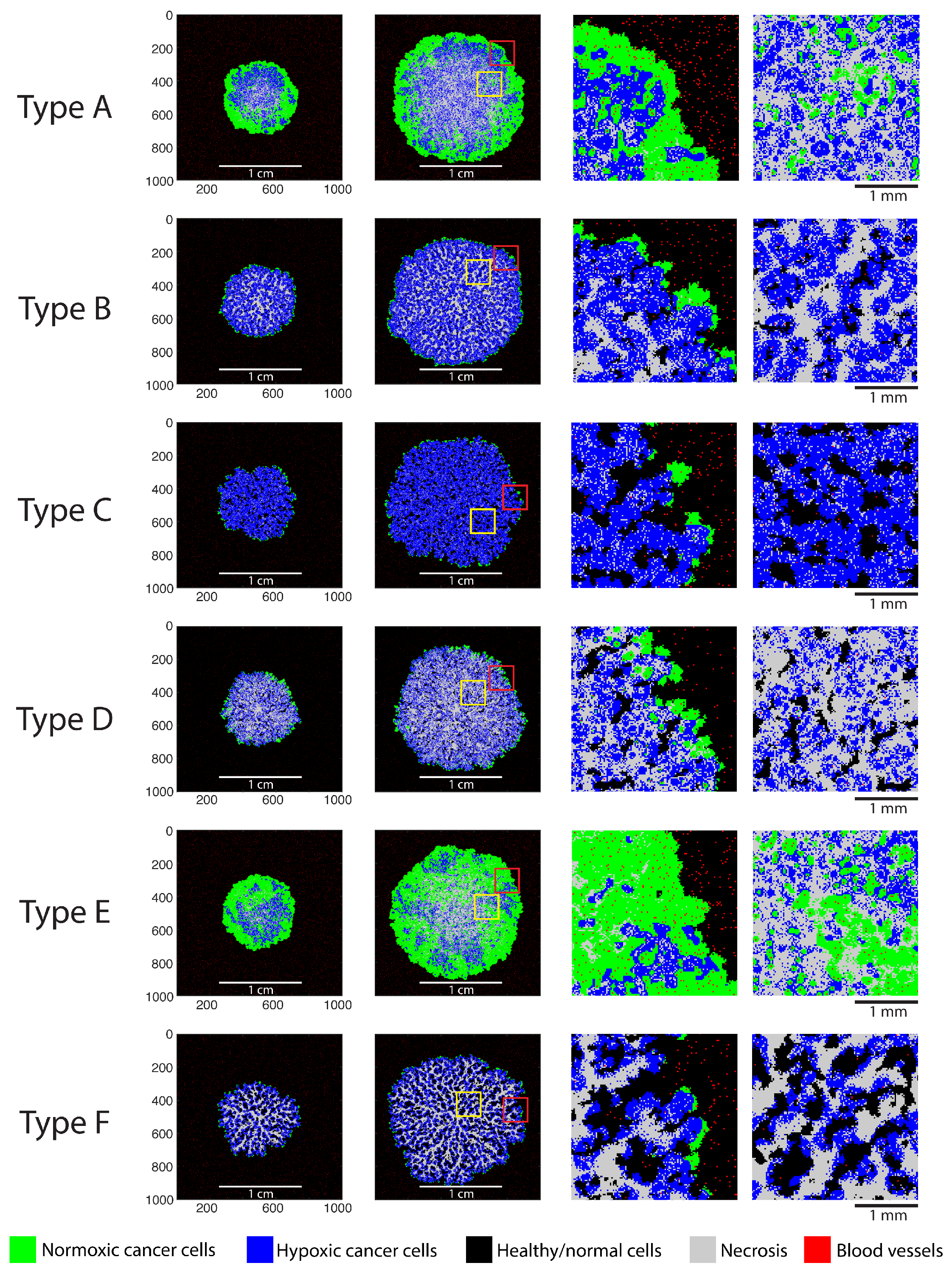 Cancers 16 02215 g002