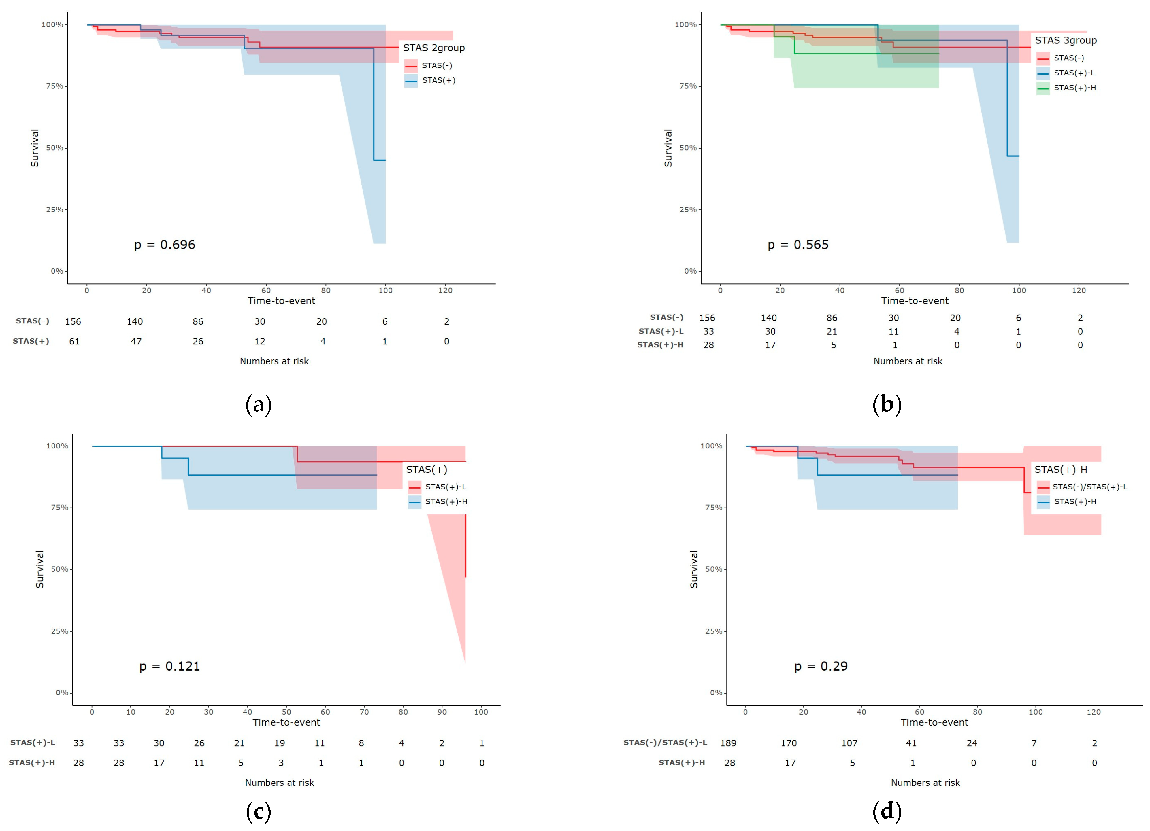 Cancers 16 02218 g003
