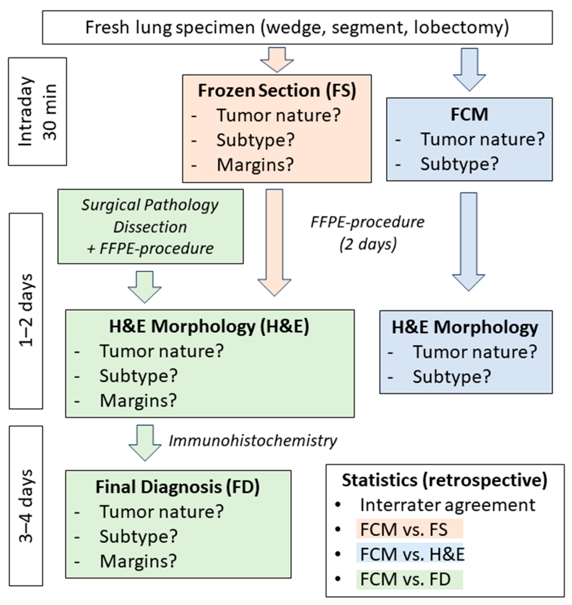 Cancers 16 02221 g001